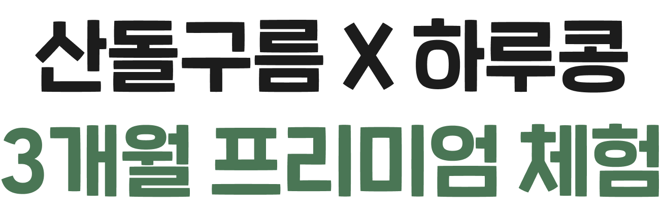 산돌구름X하루콩 3개월 프리미엄 체험