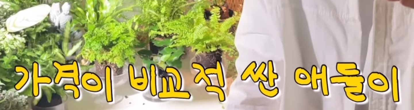 폰트 문의하기