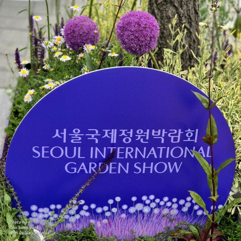 폰트 문의하기