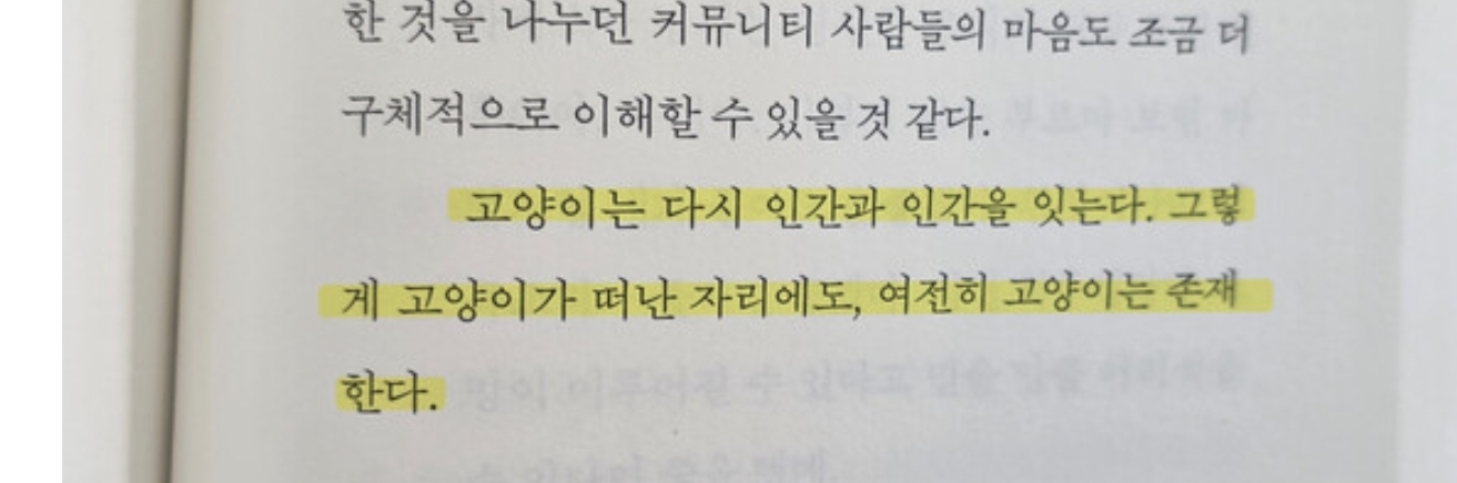 폰트 문의하기
