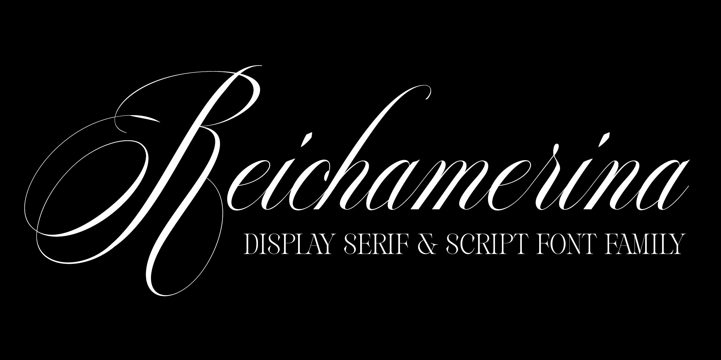 Reichamerina font in use