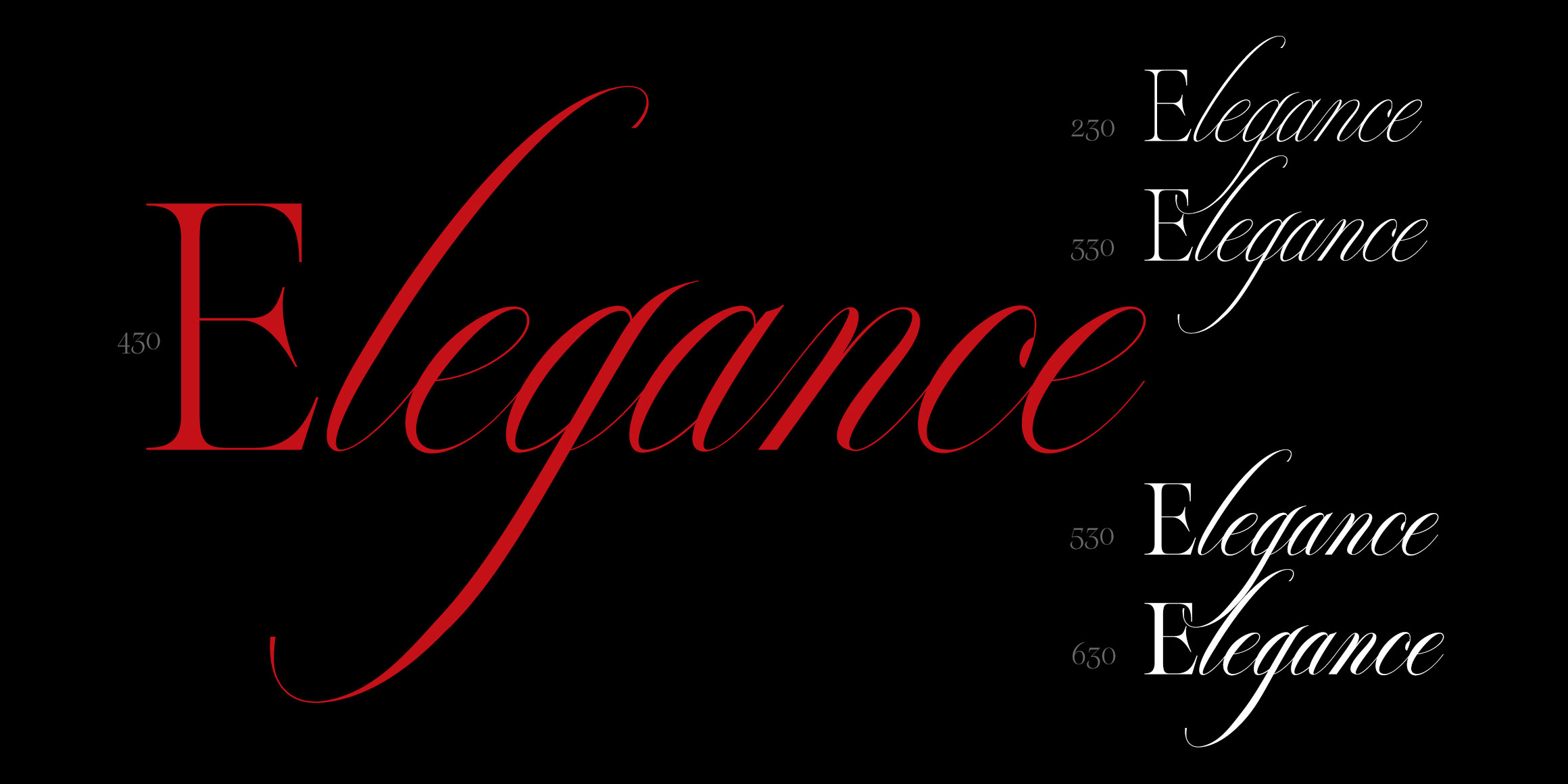 Reichamerina font in use