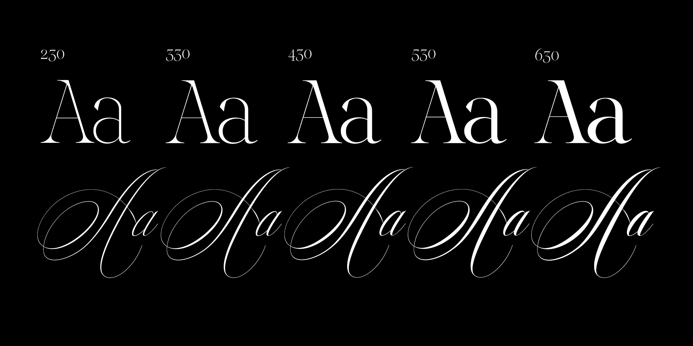 Reichamerina font in use