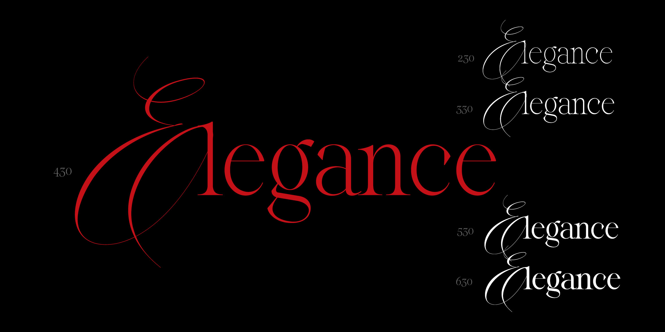 Reichamerina font in use