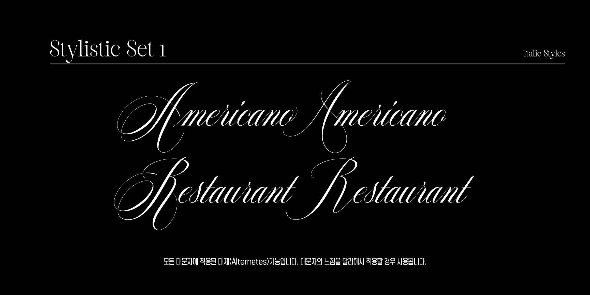 Reichamerina font in use