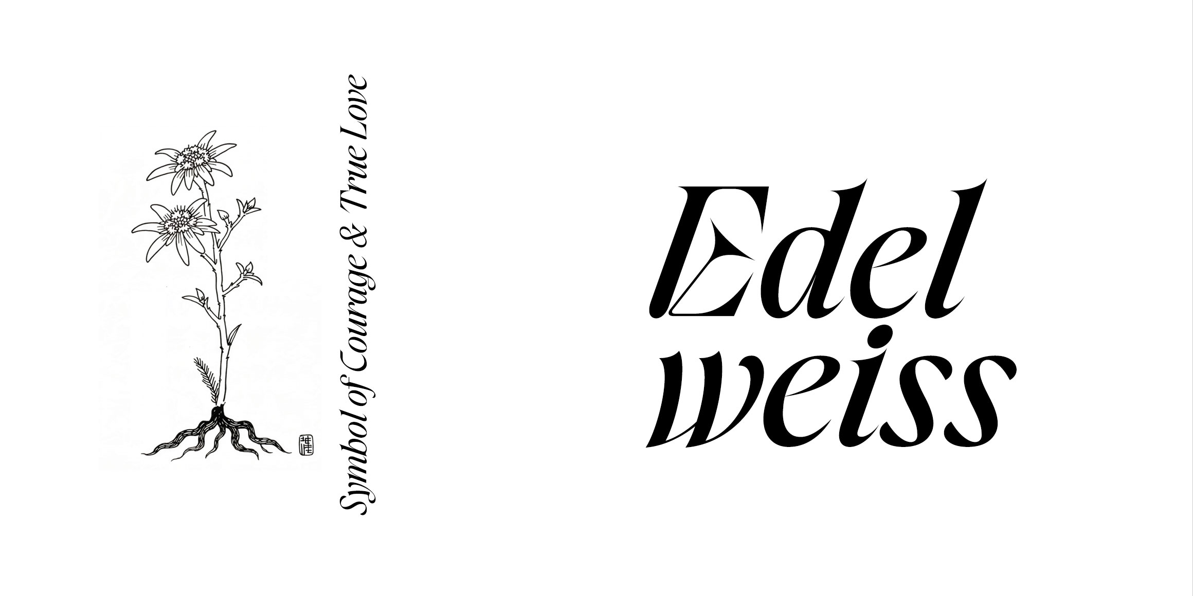 Amode Ethan font in use