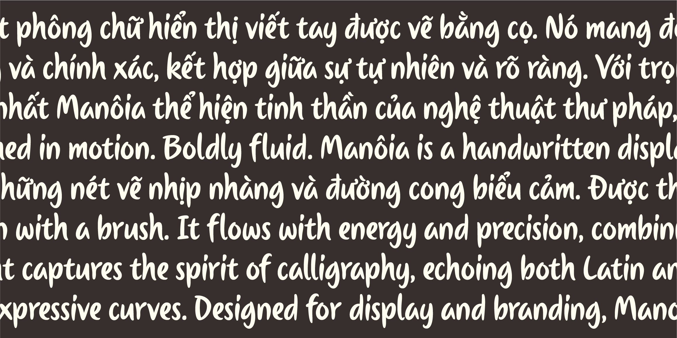 Manoya Latin font in use
