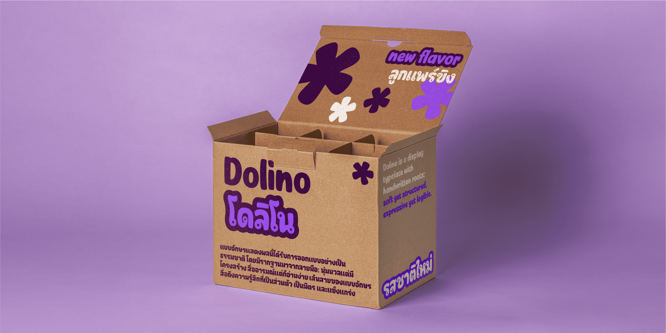 Dolino Thai font in use