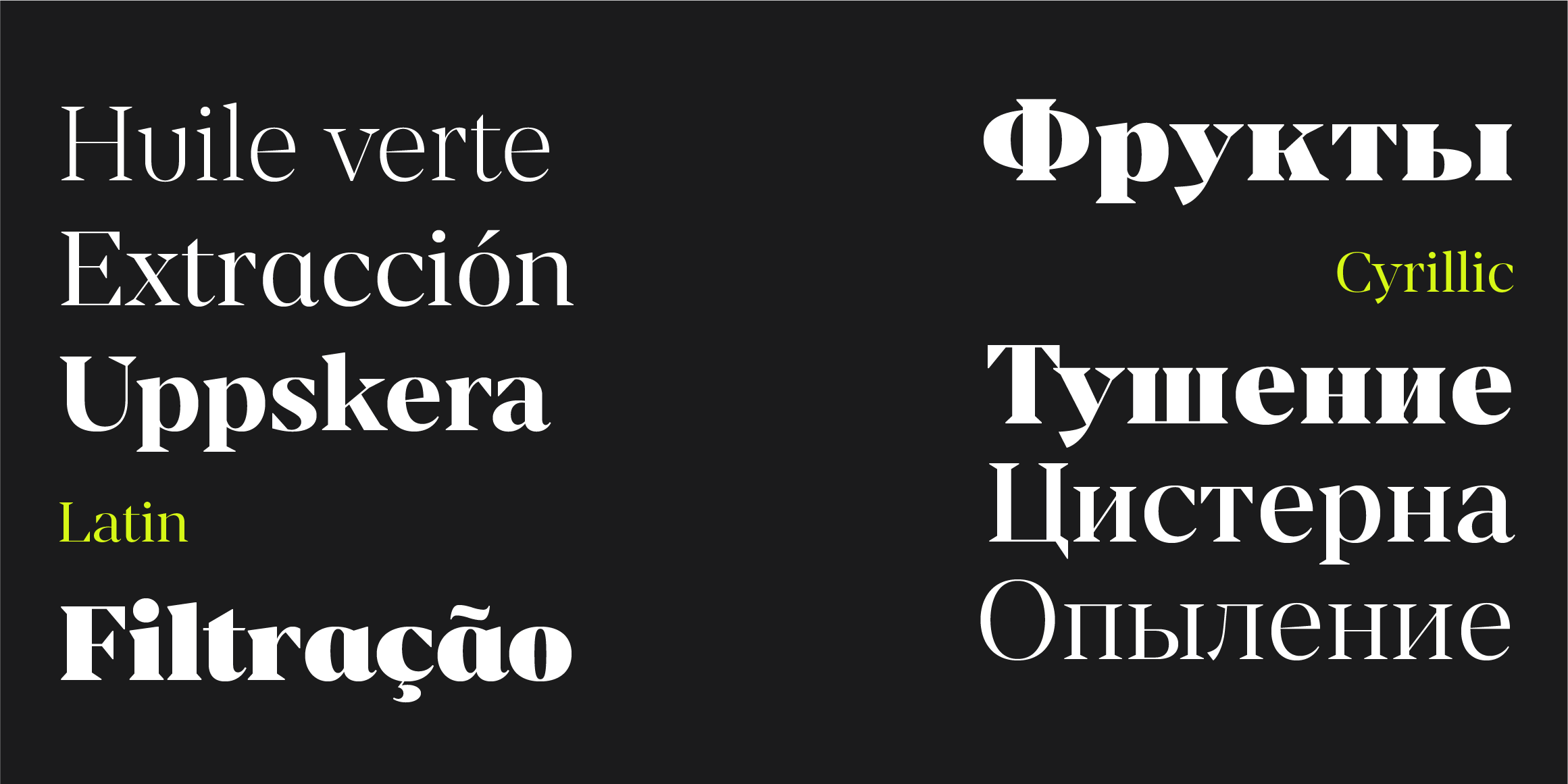 Renai Serif Cyrillic font in use