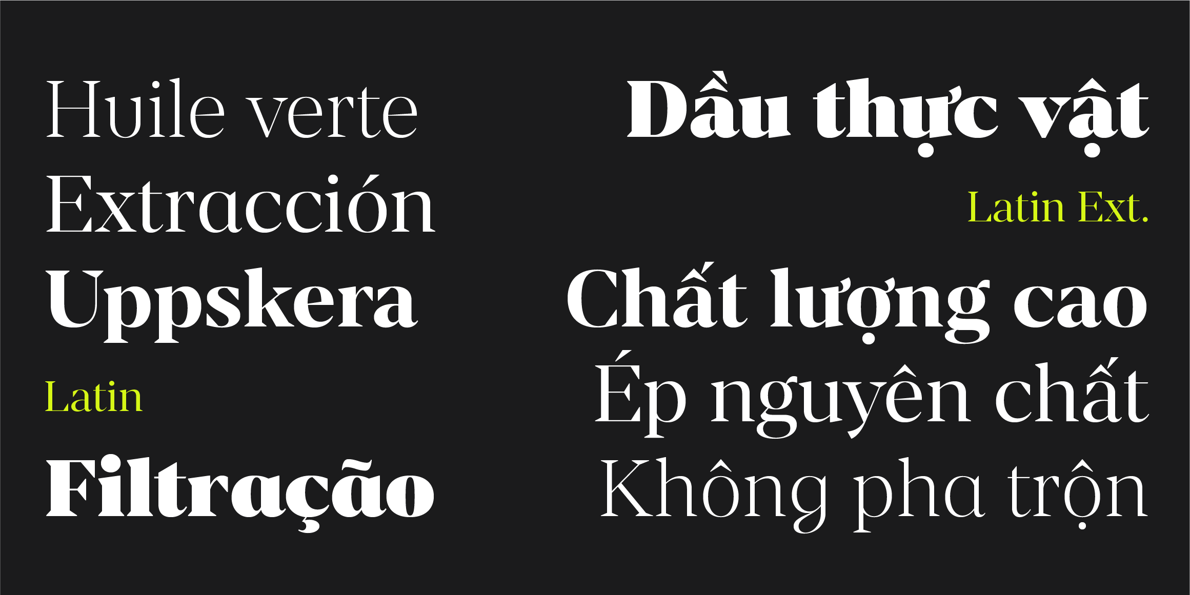 Renai Serif Latin font in use