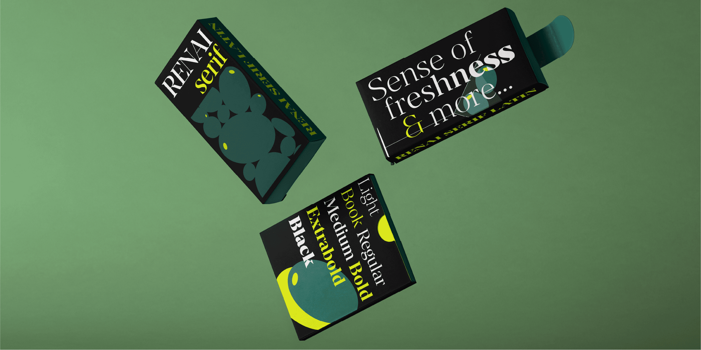 Renai Serif Latin font in use