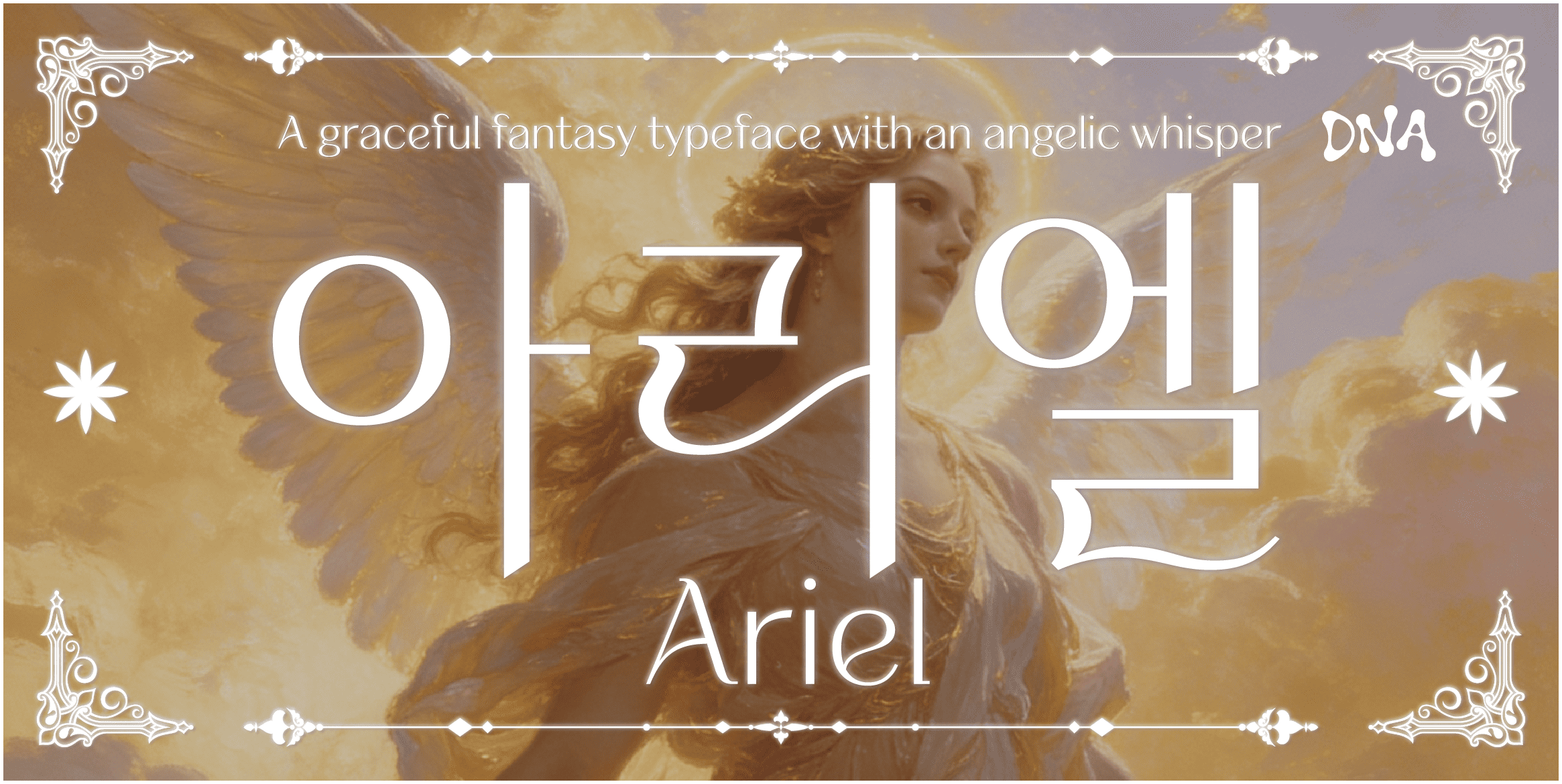 DNA아리엘 font in use