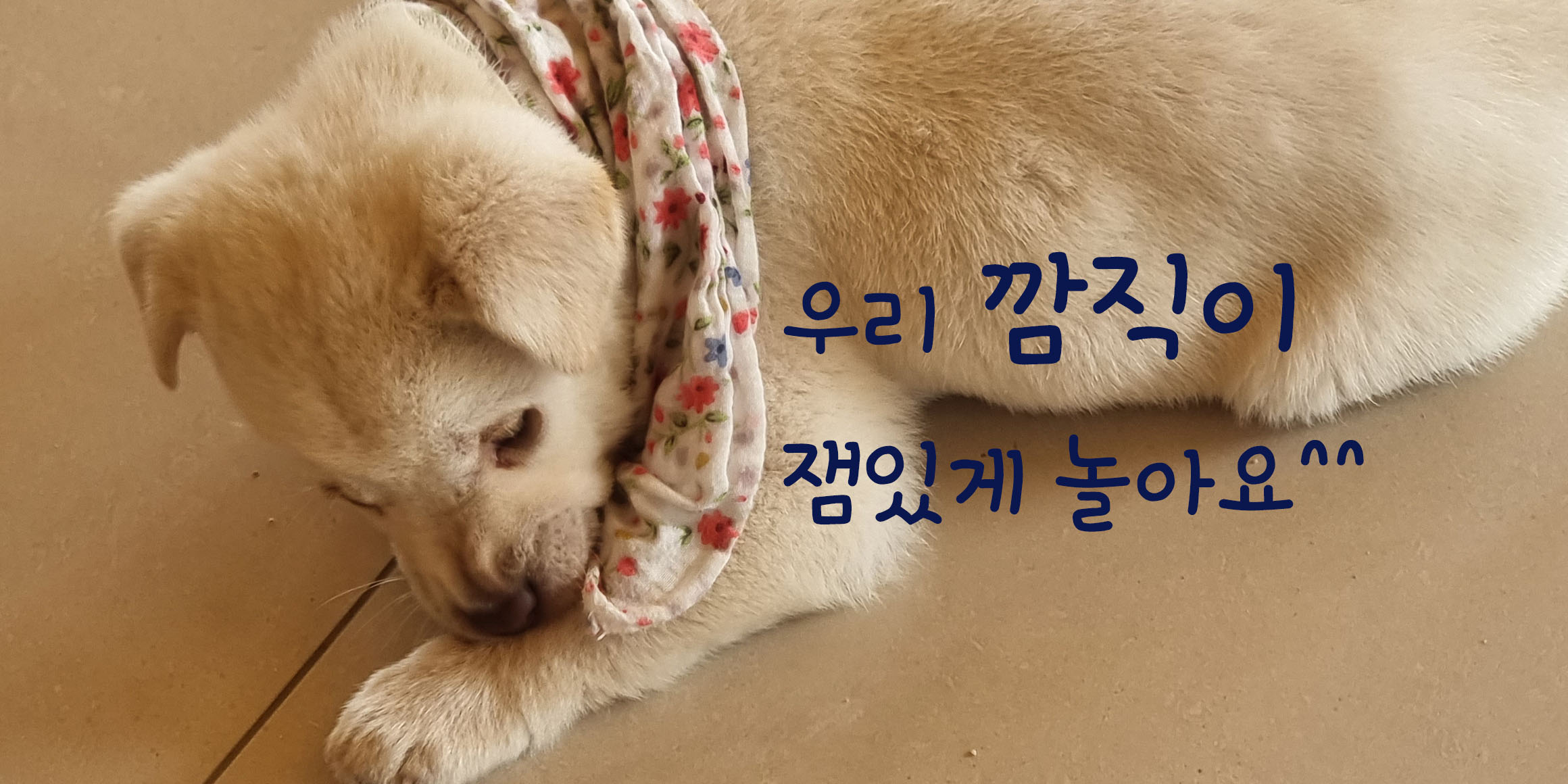 DX깜찍발랄 font in use