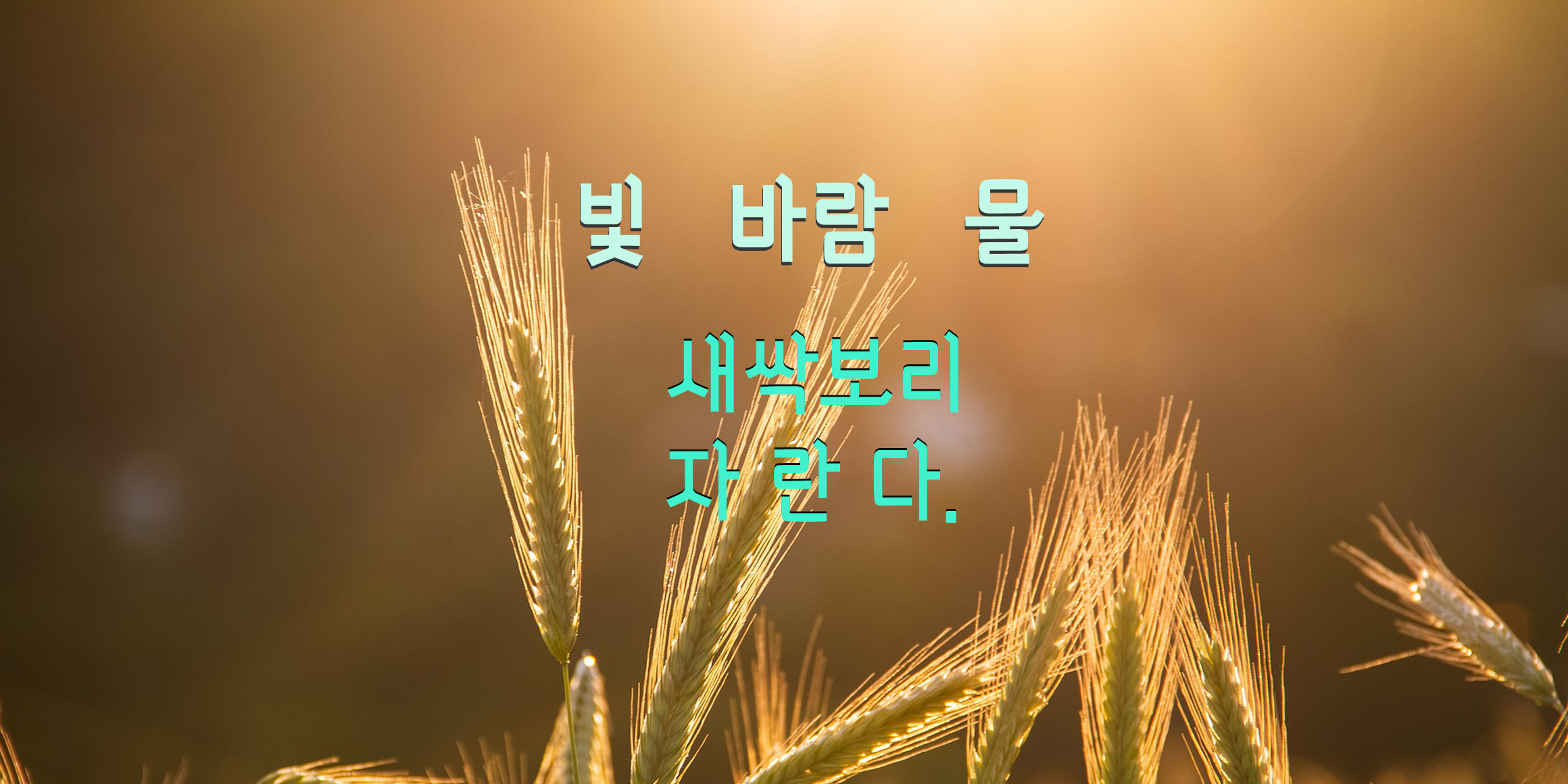 DXSaessakbori font in use