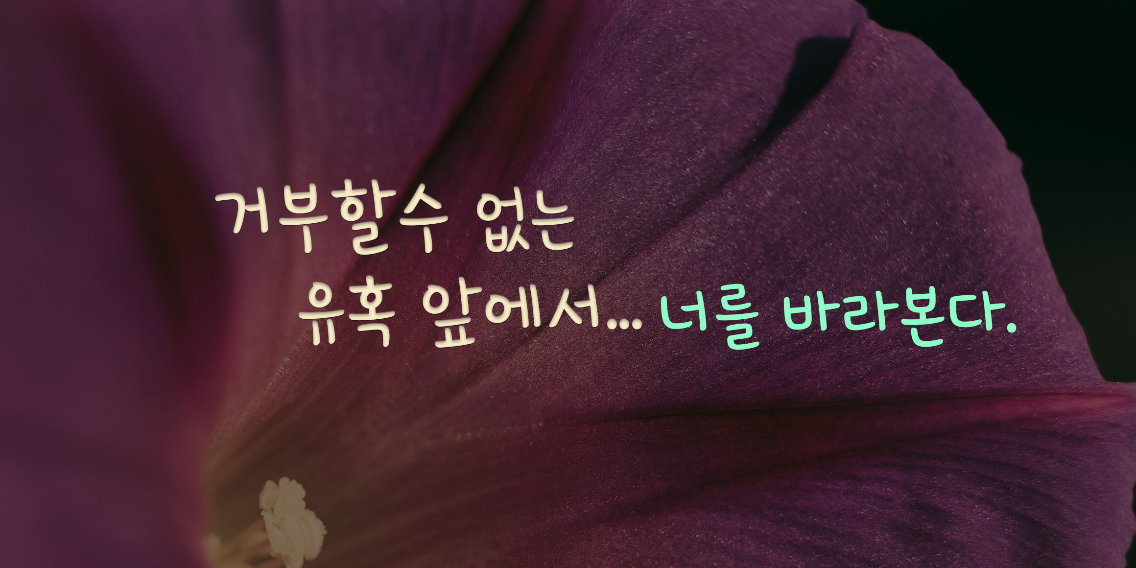 DX모닝글로리 font in use