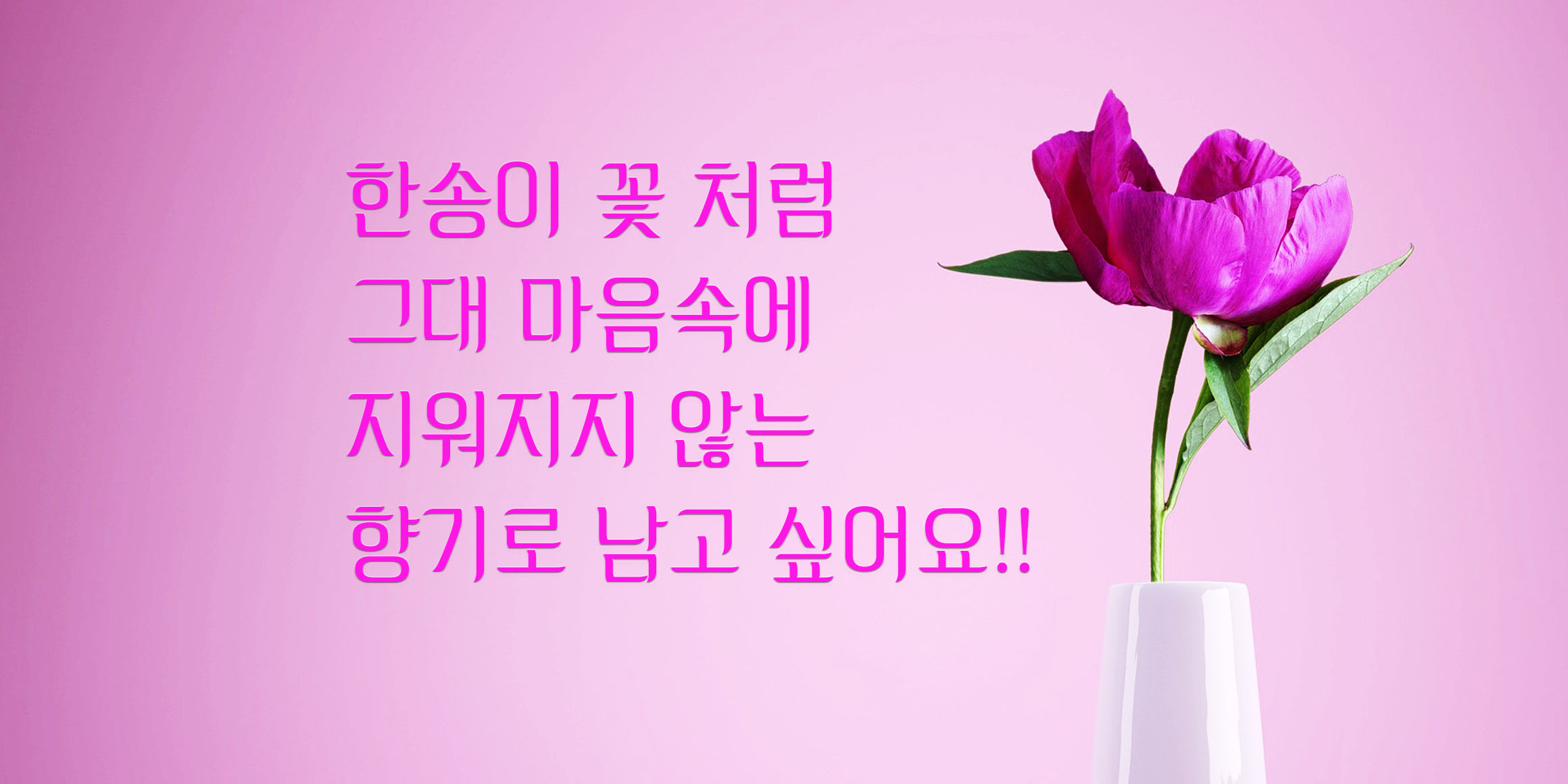 DX나르샤 font in use