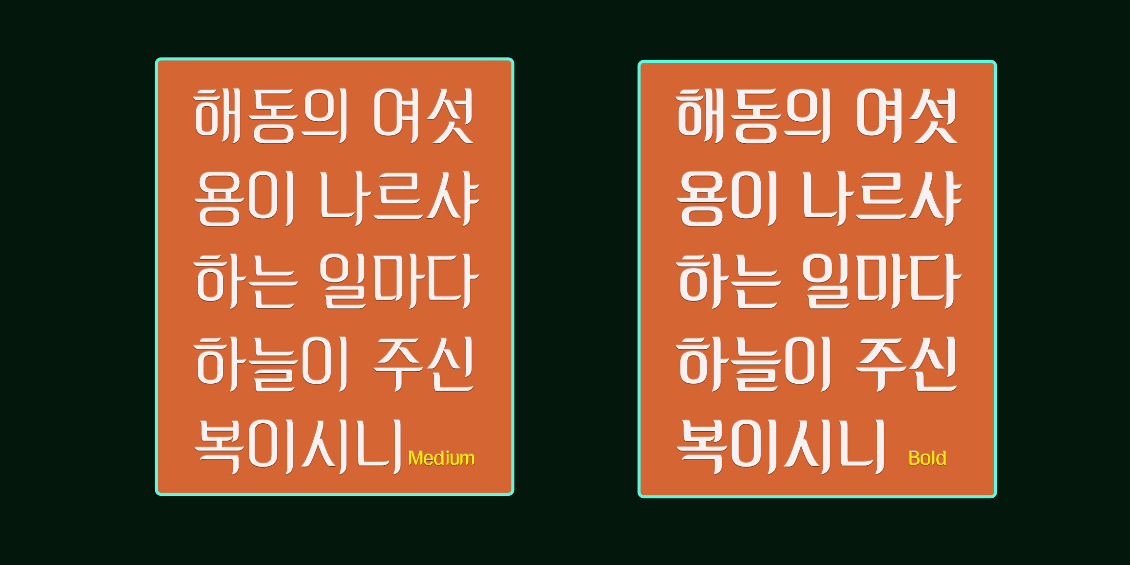 DX나르샤 font in use