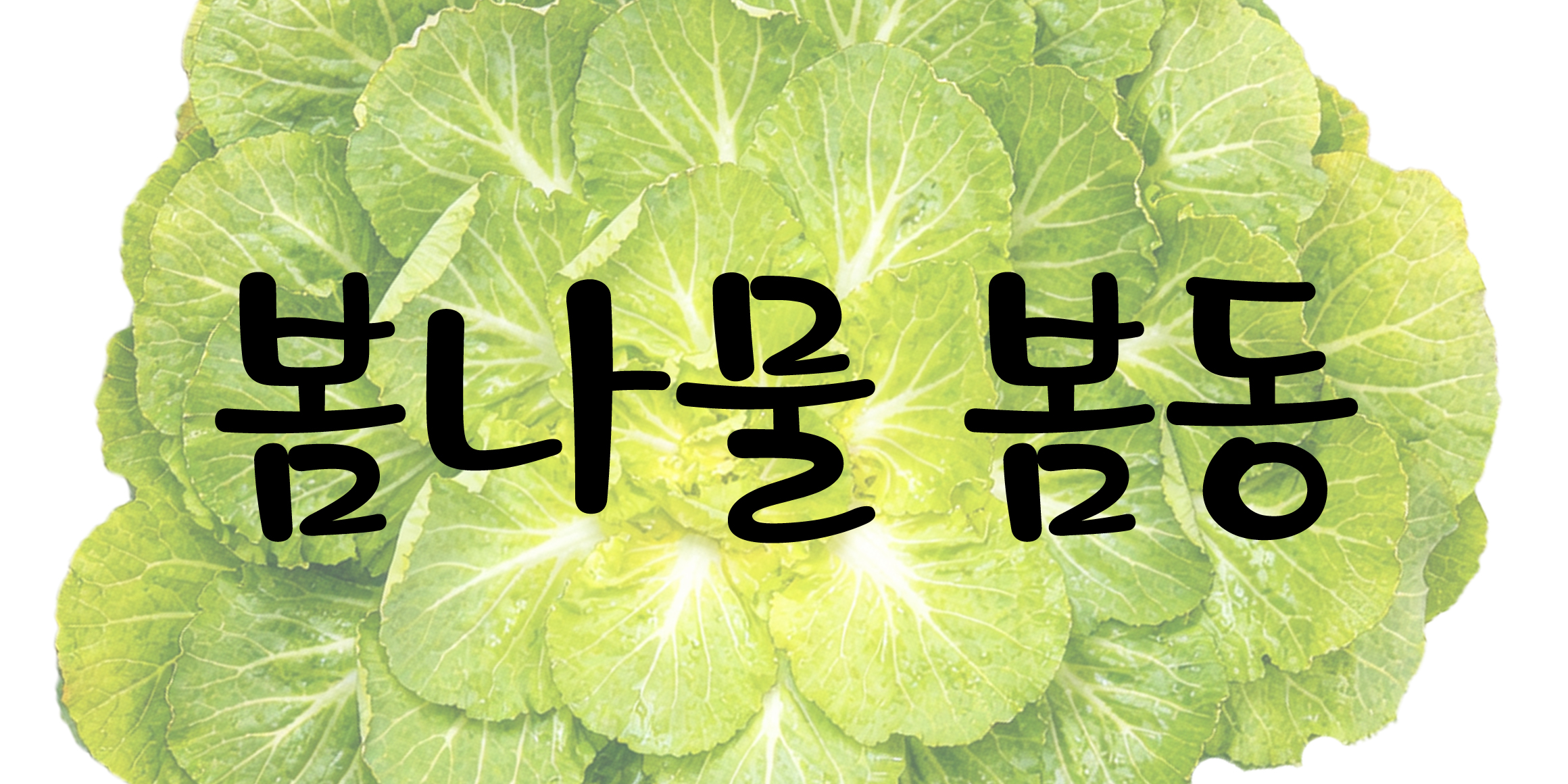 DX봄동 font in use