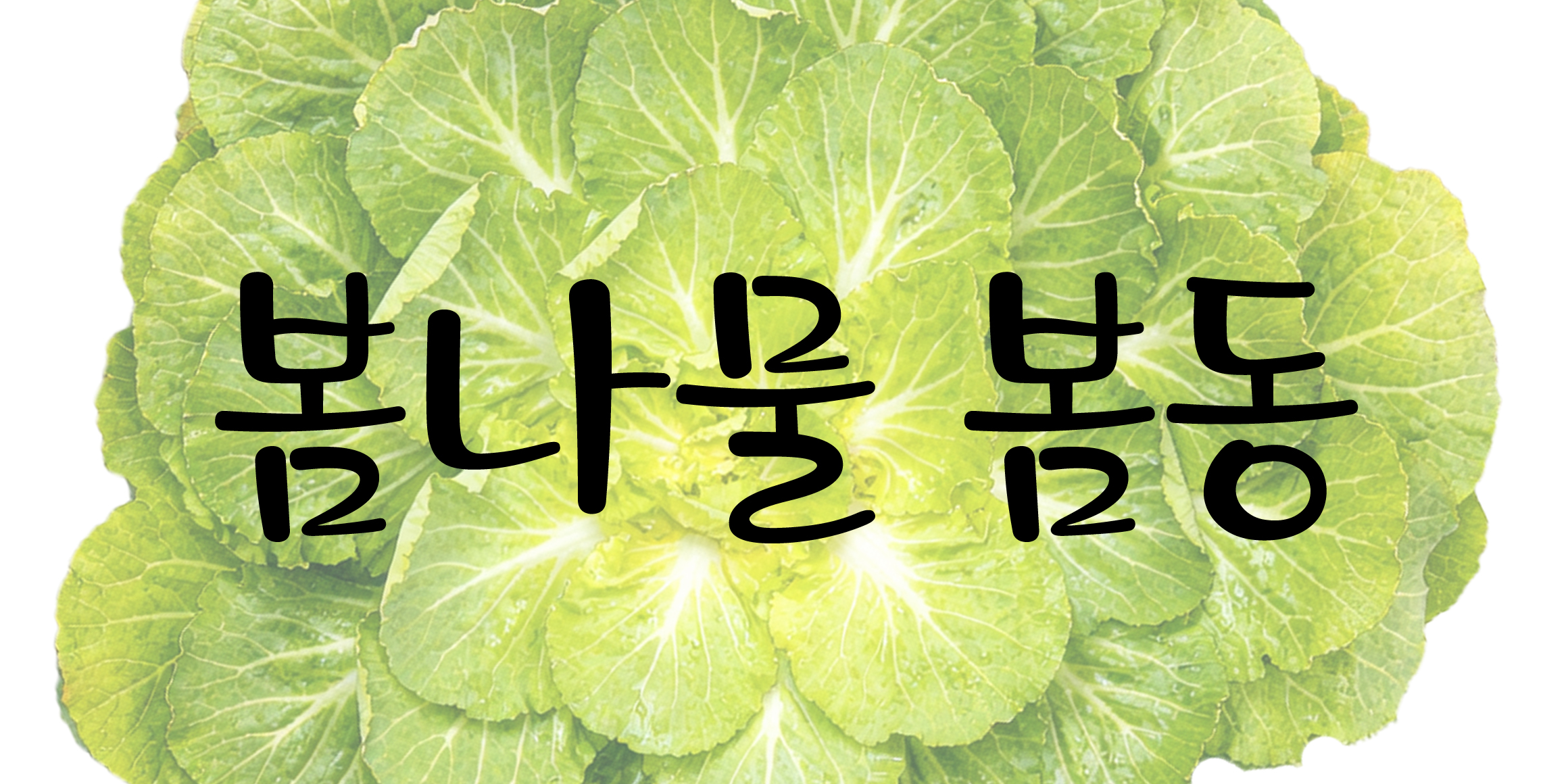 DX봄동 font in use