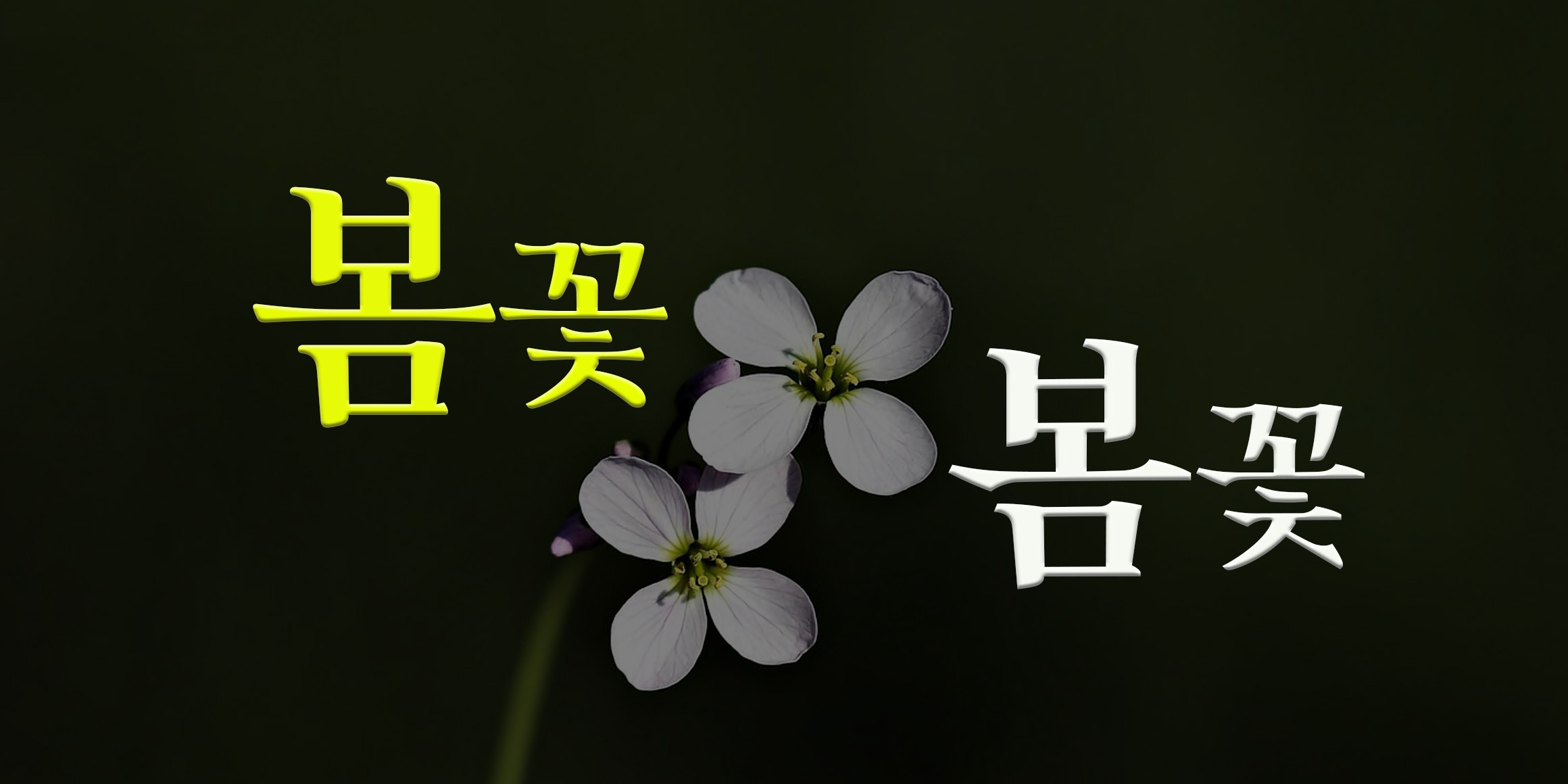 DXGroove font in use