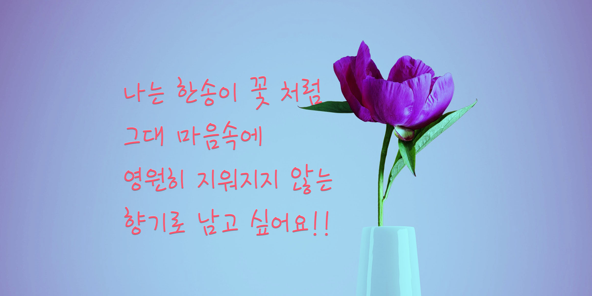 DX새날펜체 font in use
