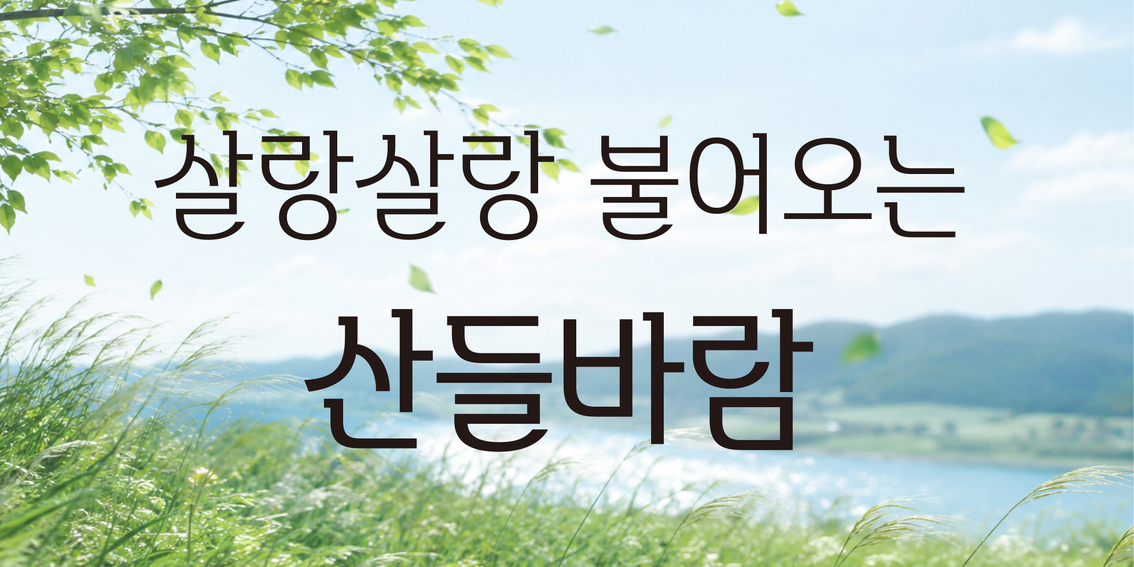 DX산들바람 font in use