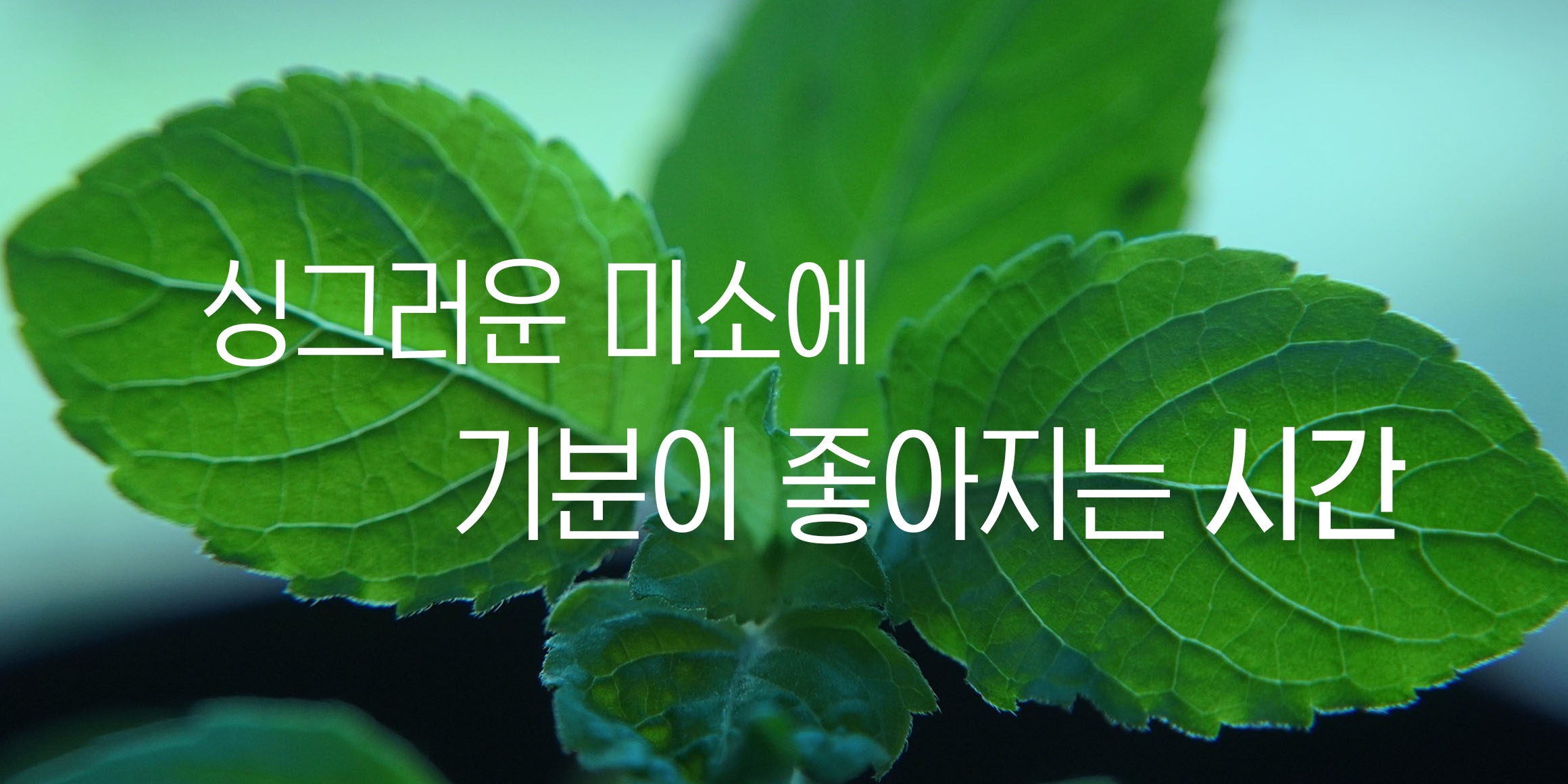 DX다솜고딕 font in use
