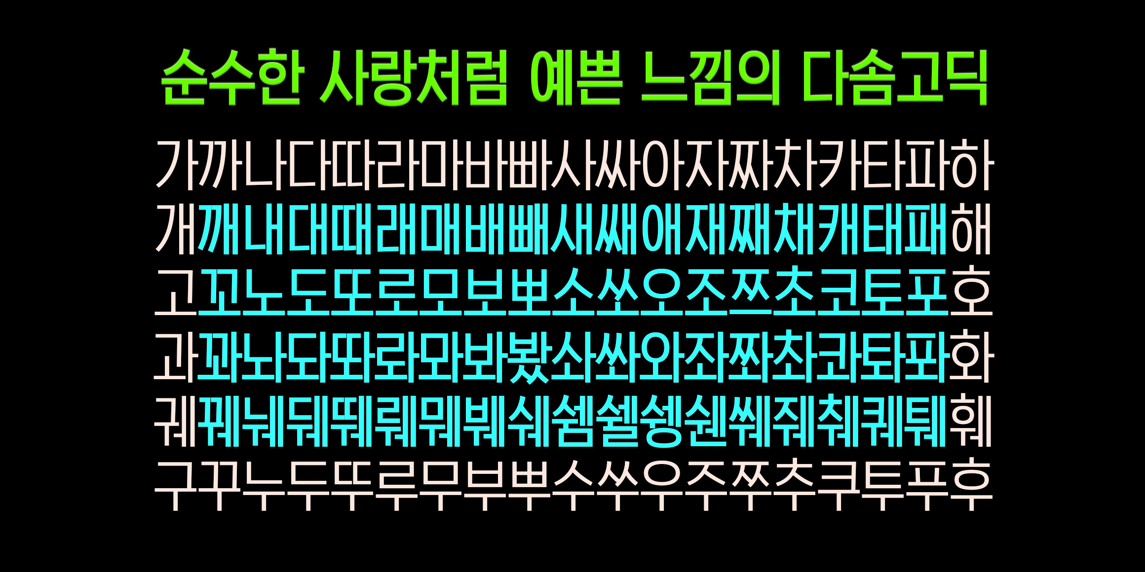 DX다솜고딕 font in use