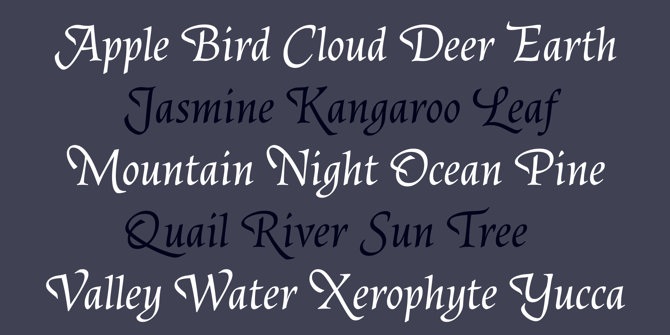 Census font in use