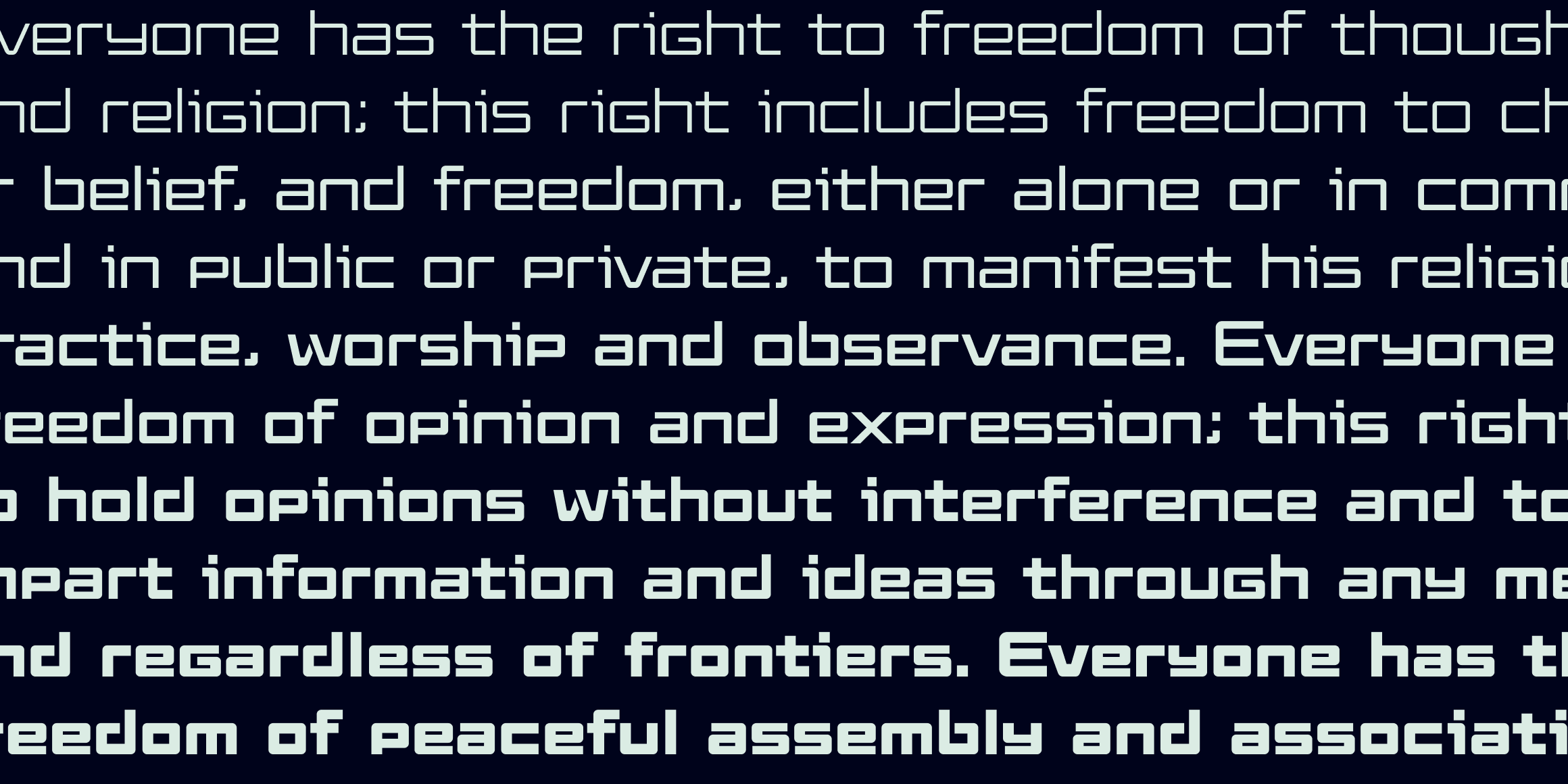 Elevon font in use