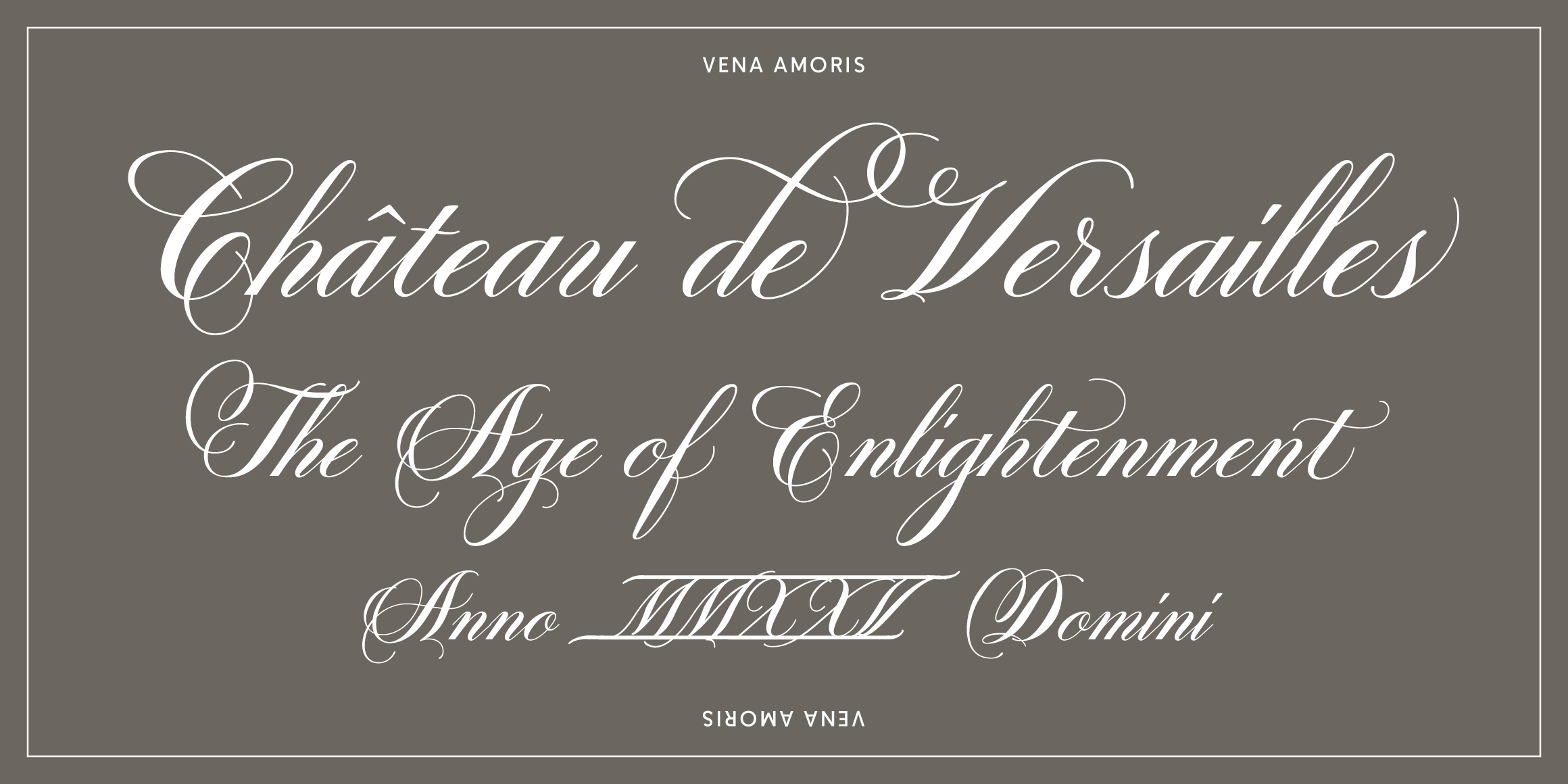 Vena Amoris font in use