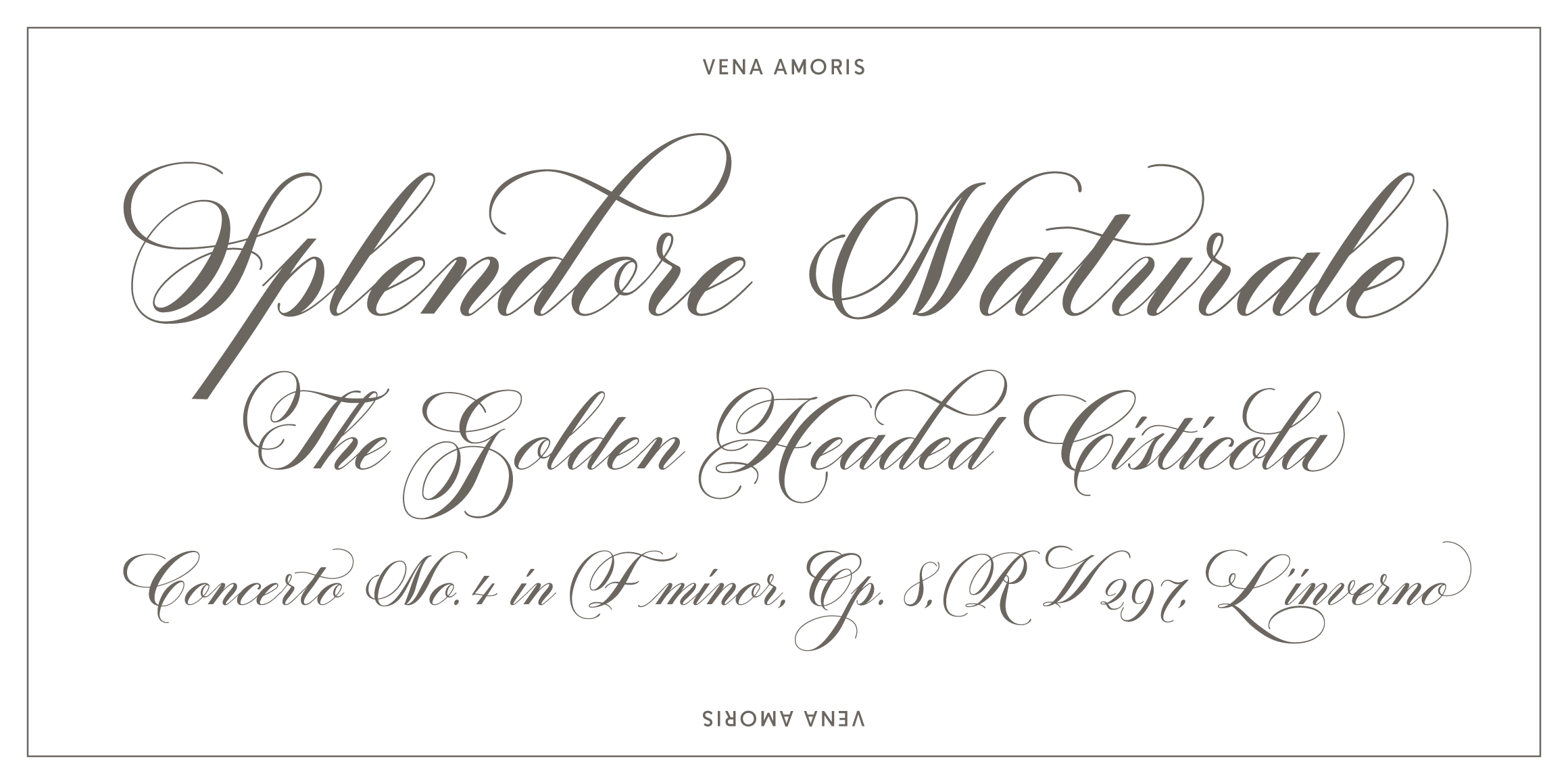 Vena Amoris font in use