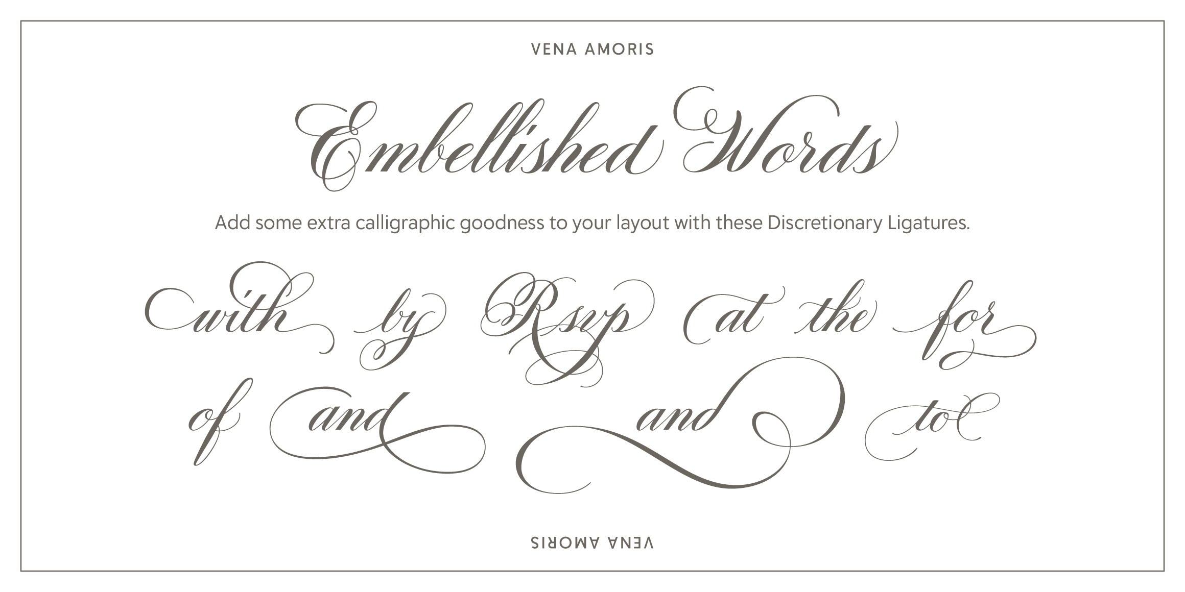 Vena Amoris font in use