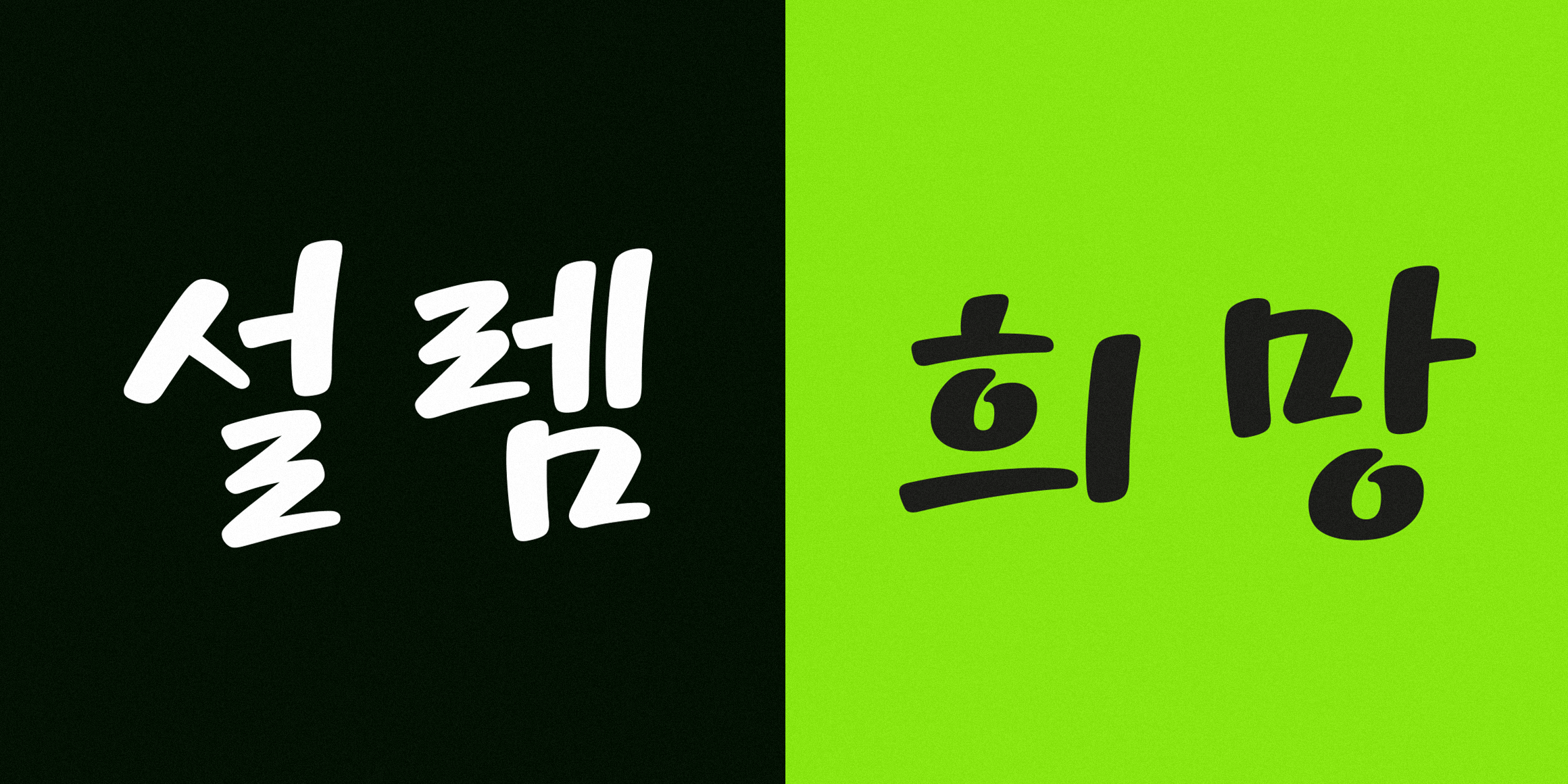 210 네잎클로버 font in use