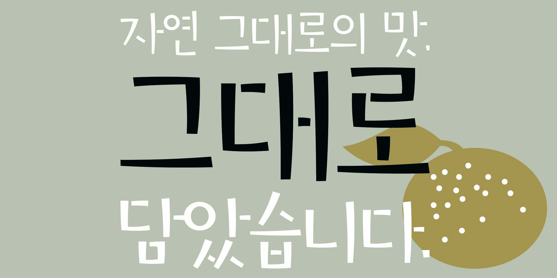 DR만다린 font in use