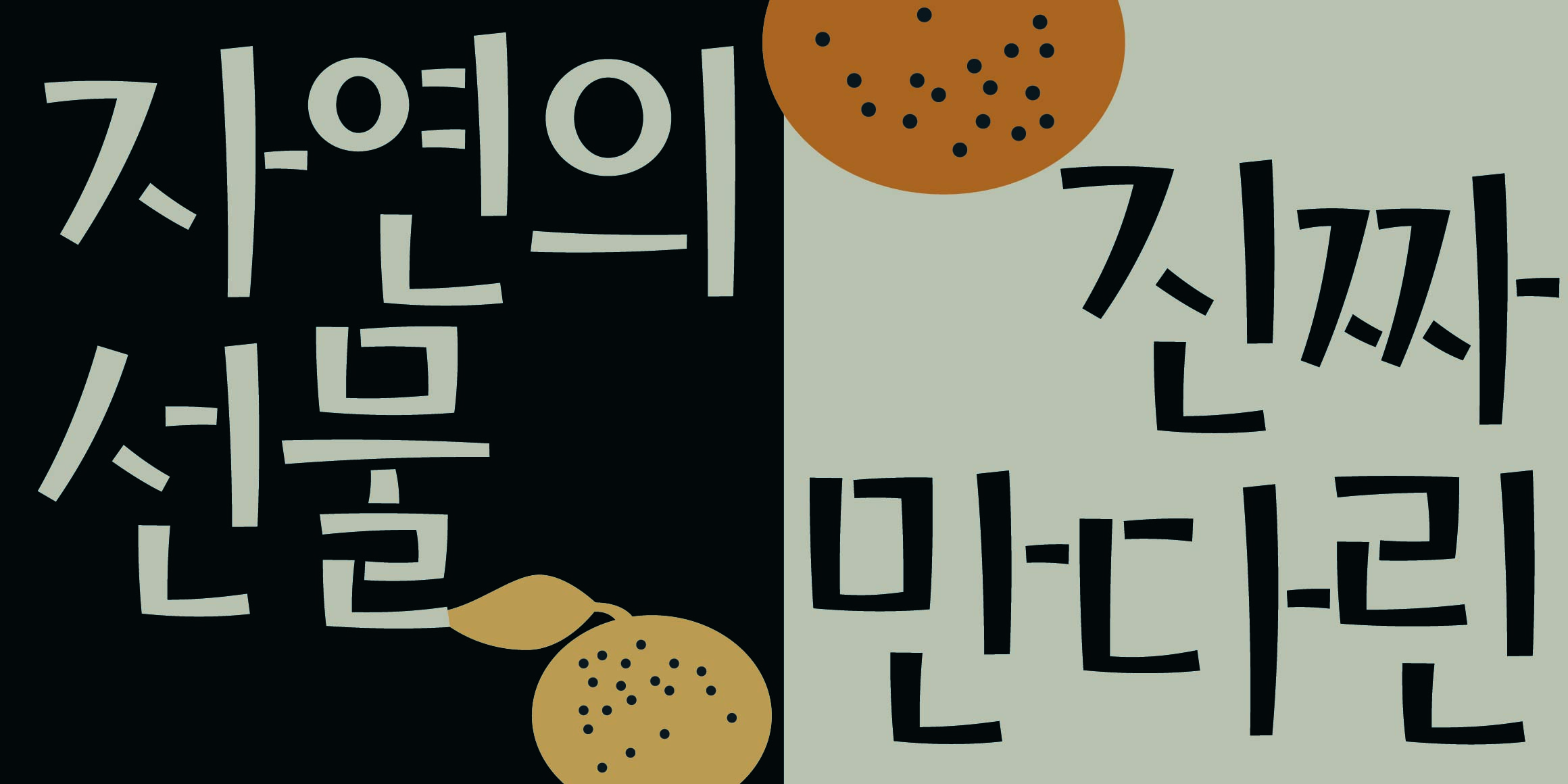 DR만다린 font in use
