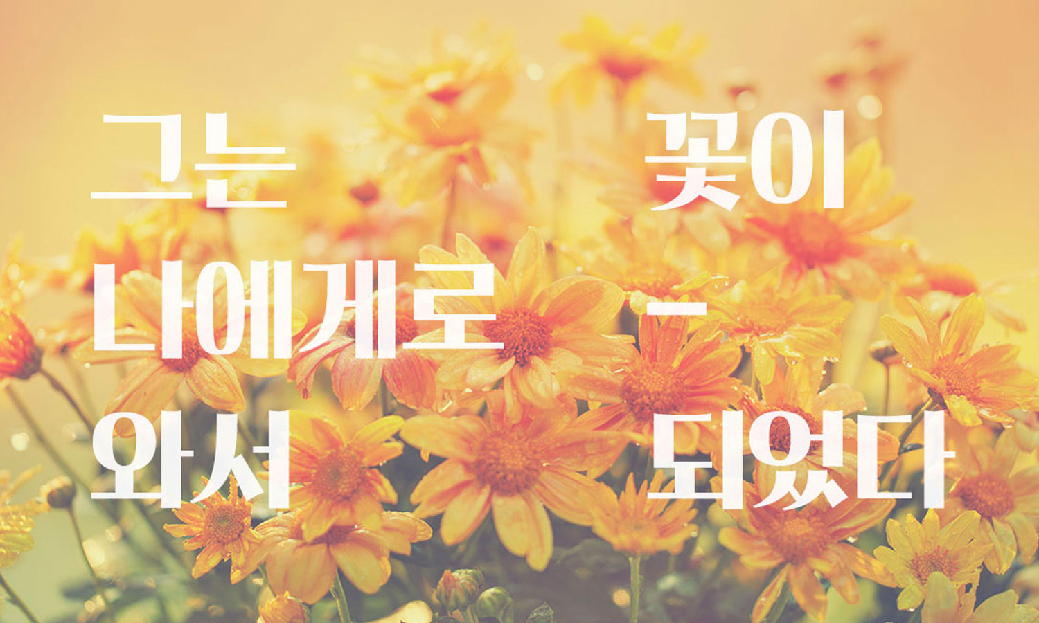 산돌 개화