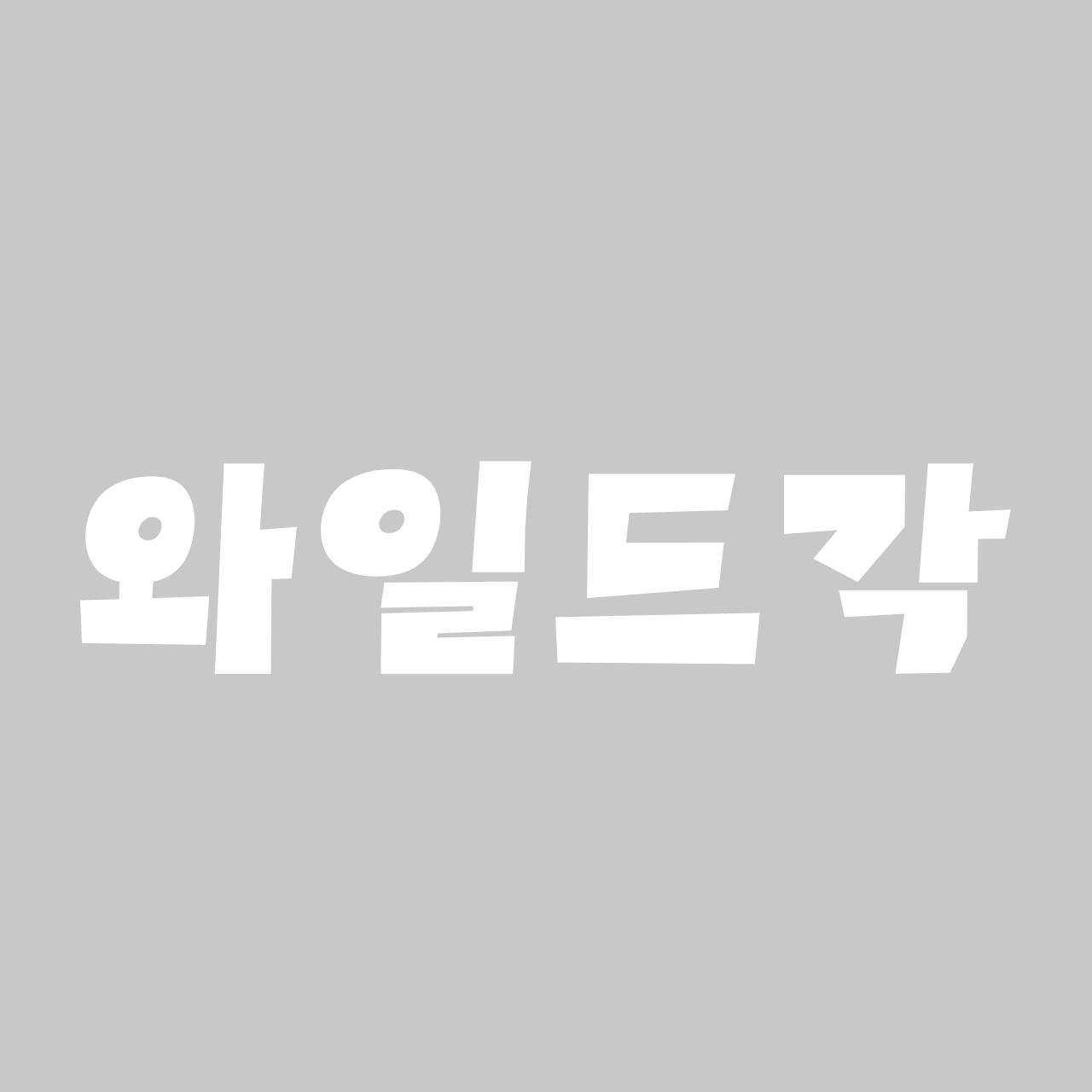 와일드각 font in use