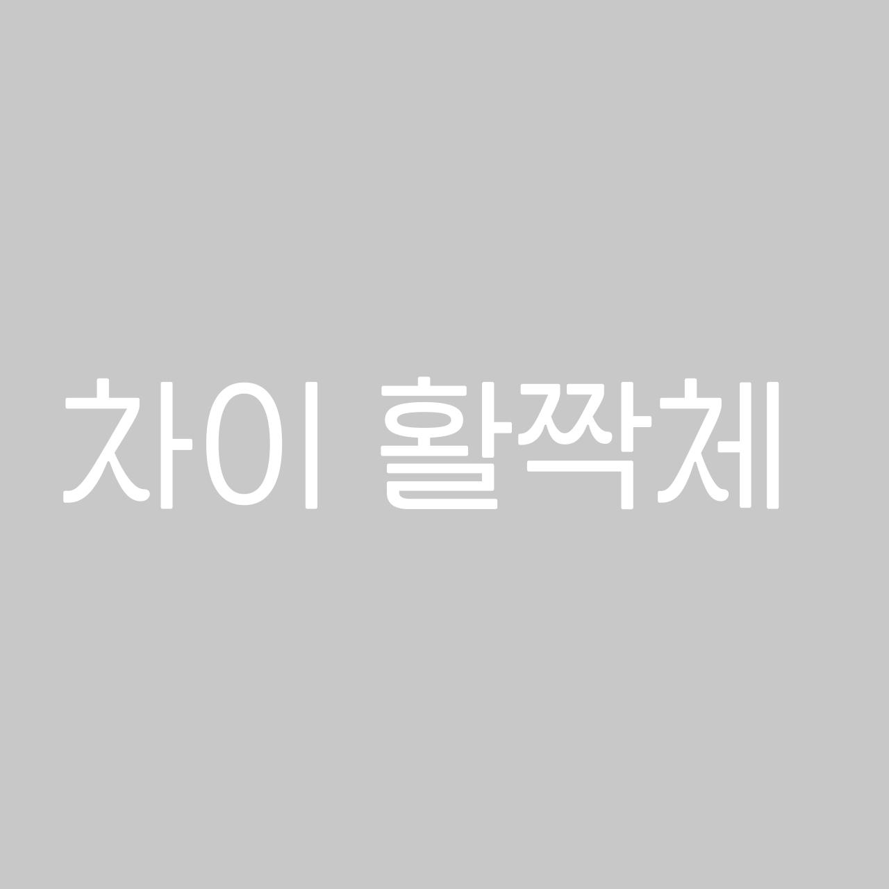 차이 활짝체  font in use