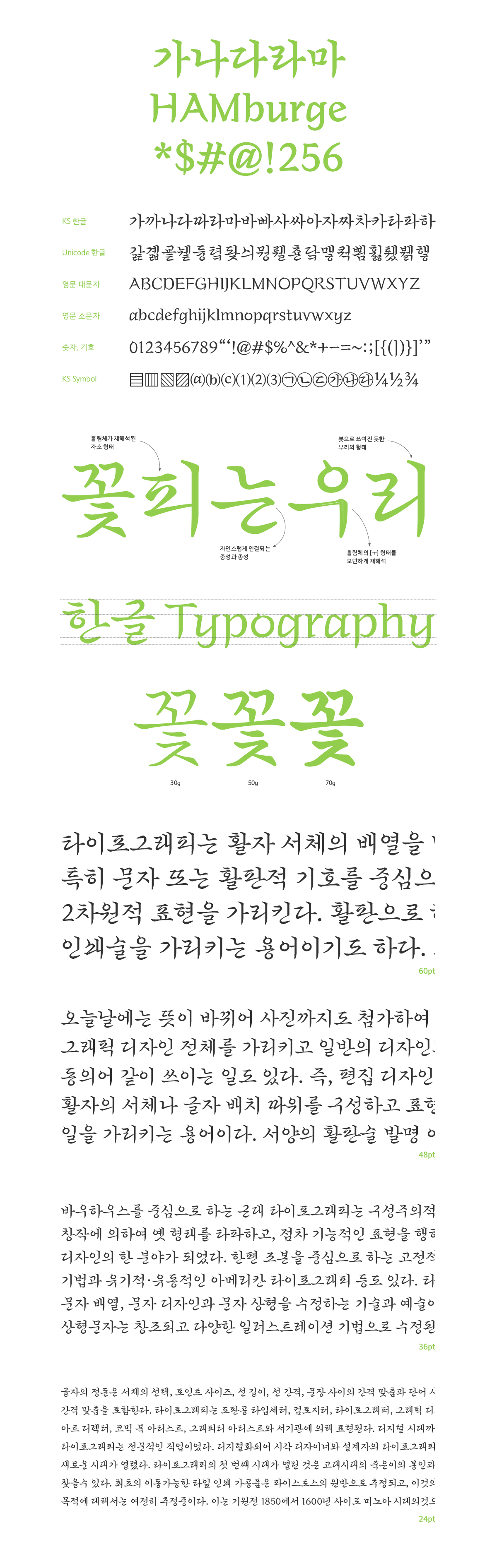 HG씨앗 font in use