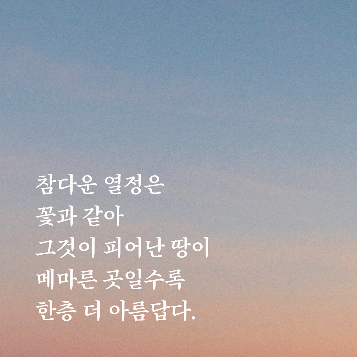 HG인문명조 font in use