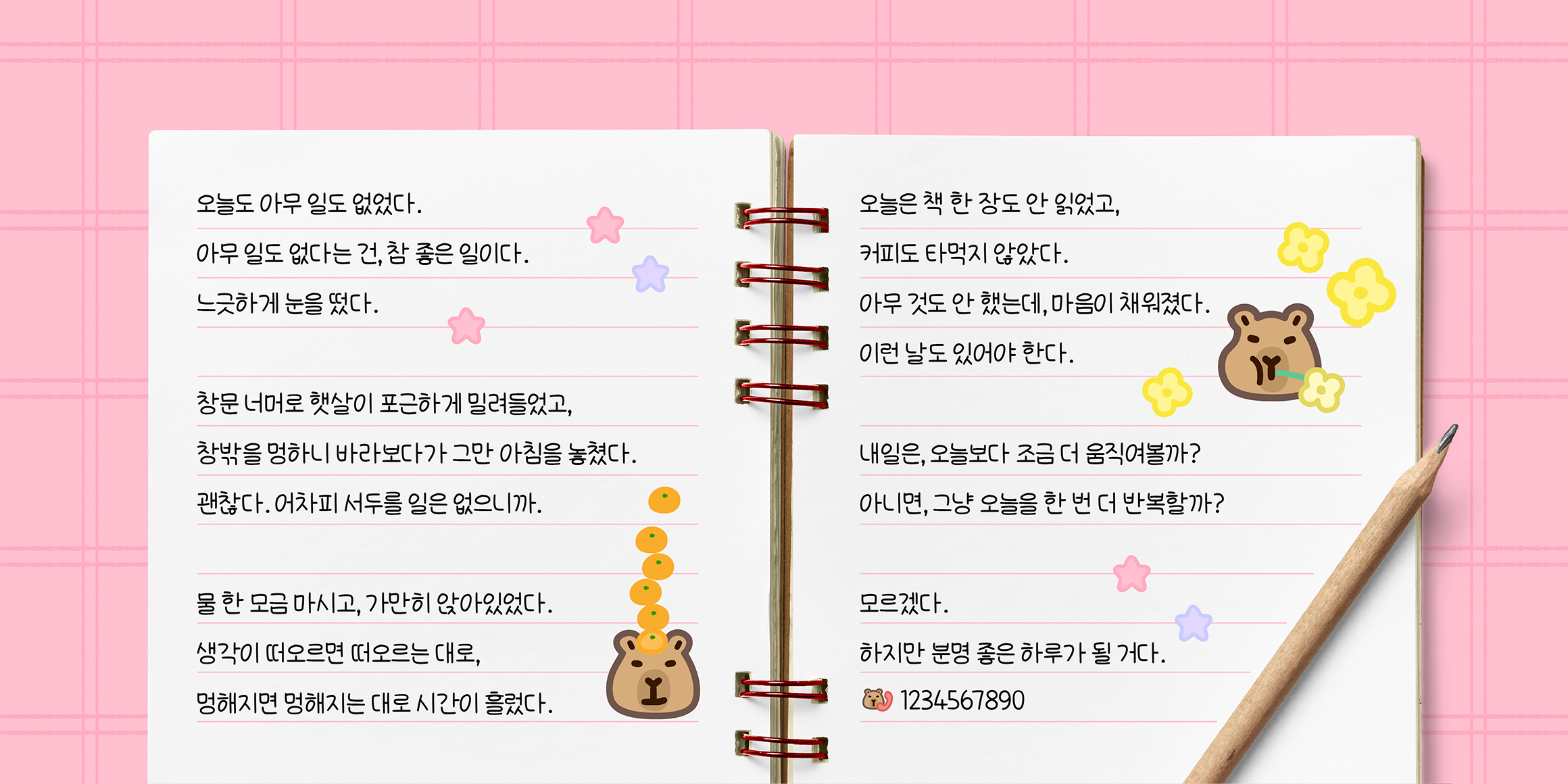 J포근한카피바라 font in use