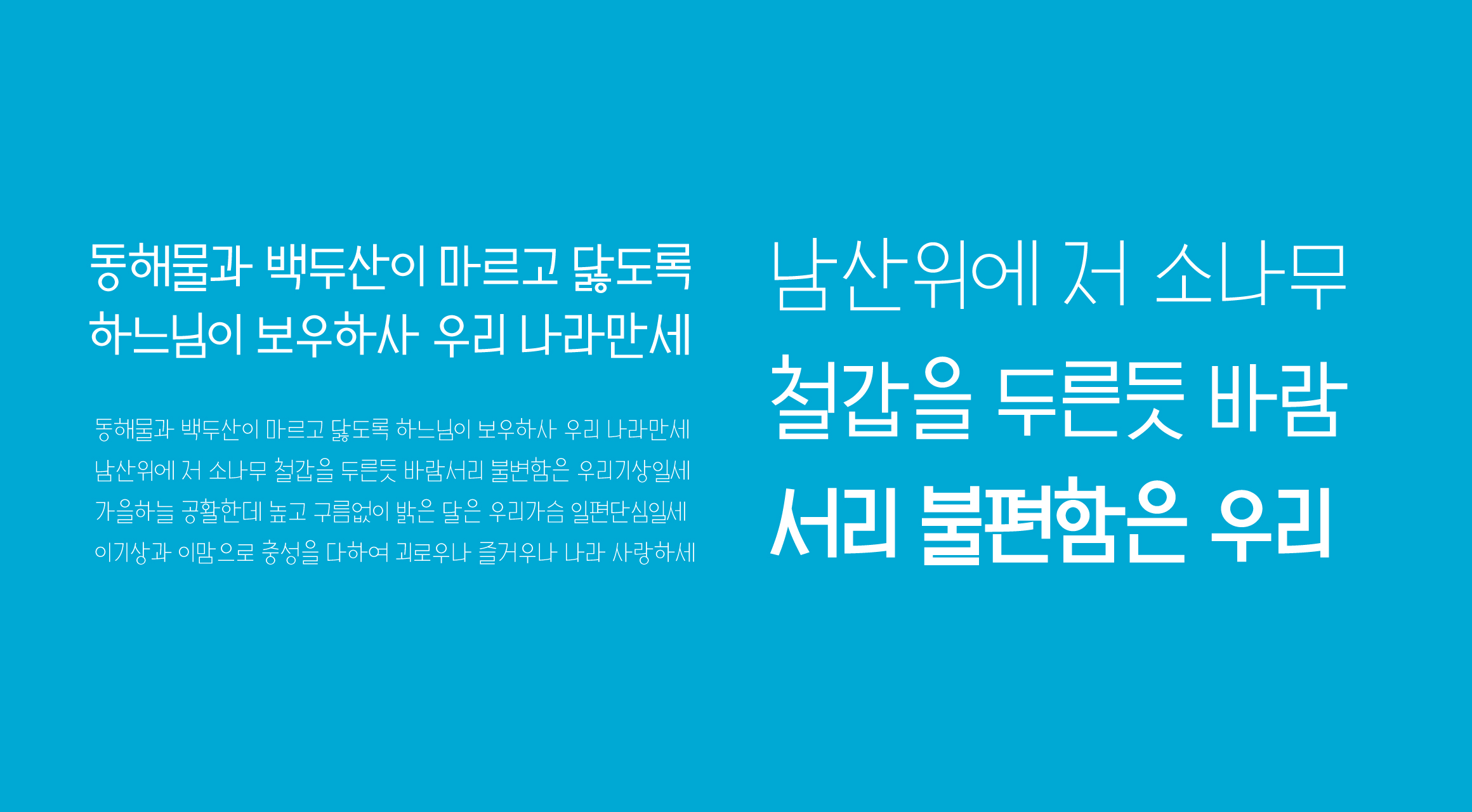 Log좋댓구알 font in use