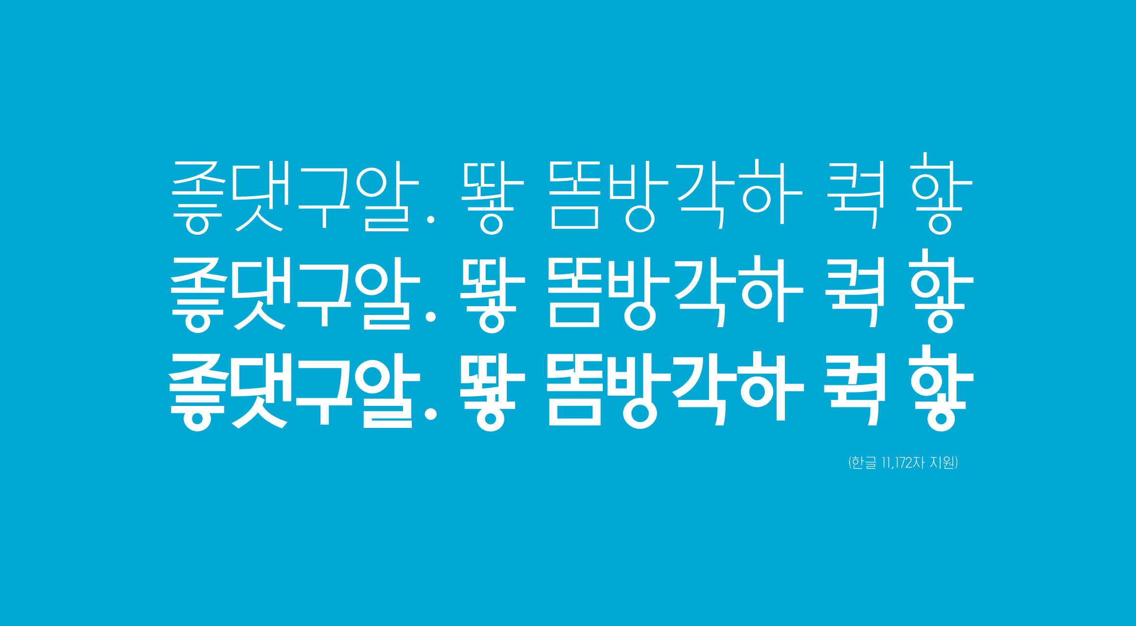 Log좋댓구알 font in use