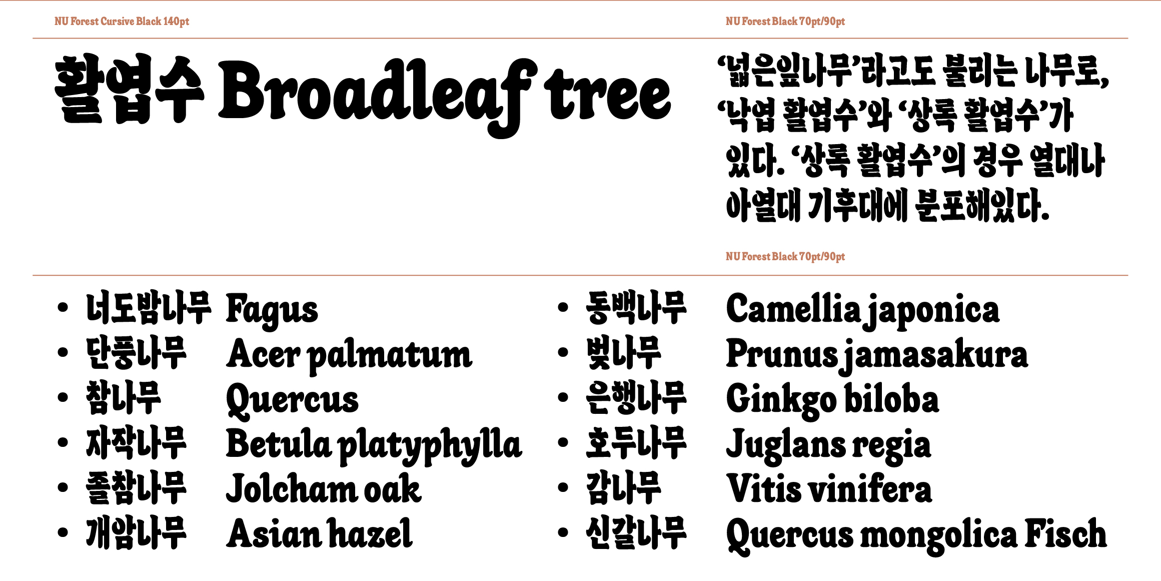 NU Forest font in use