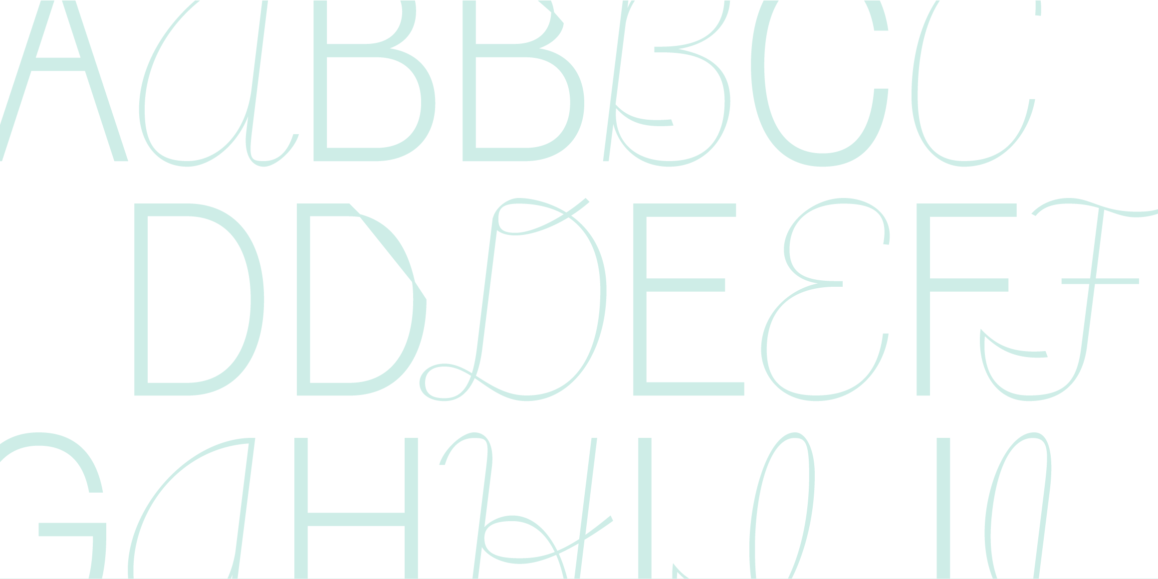NU Slorence Sans font in use