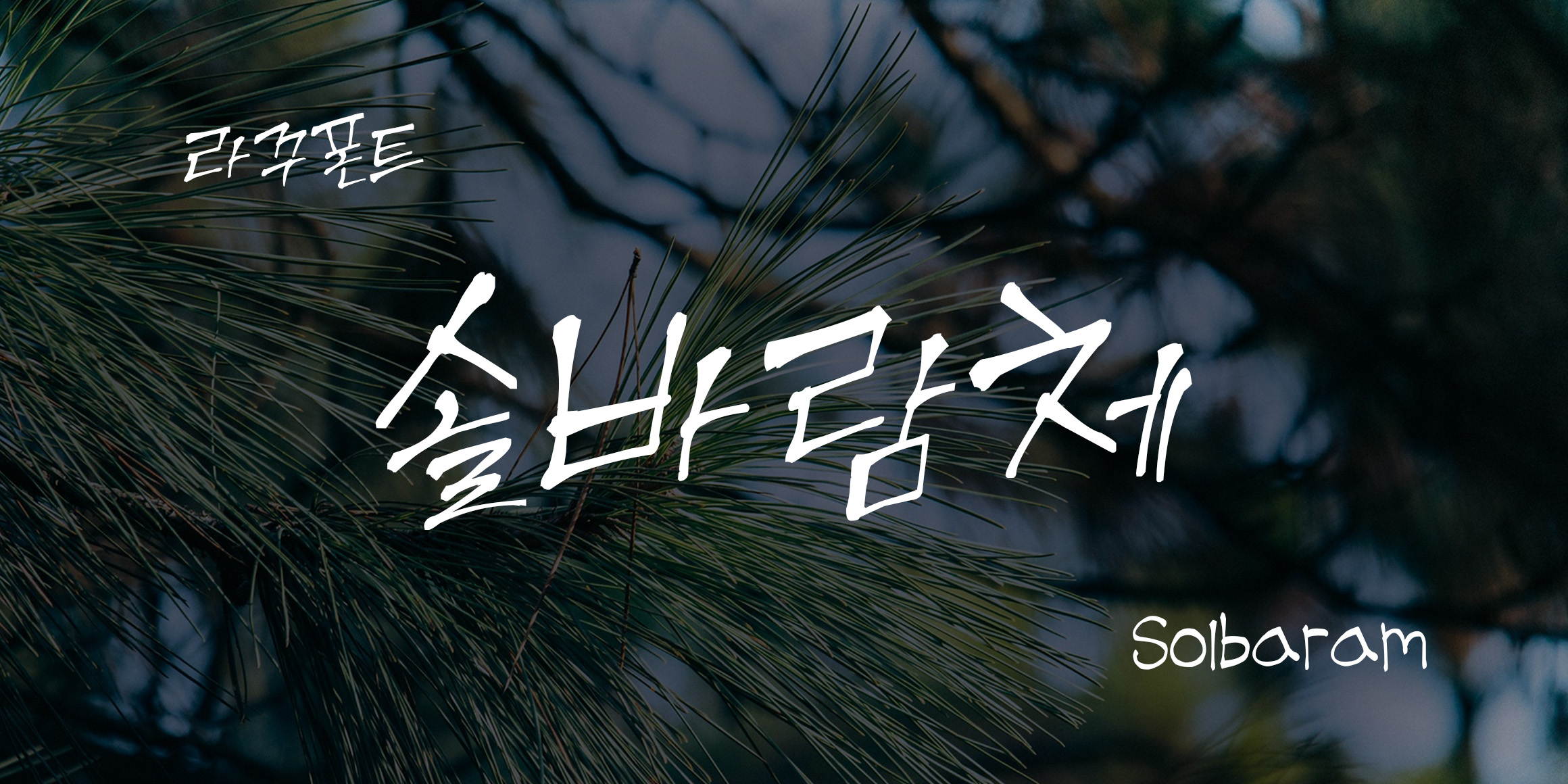 RK-솔바람체 font in use