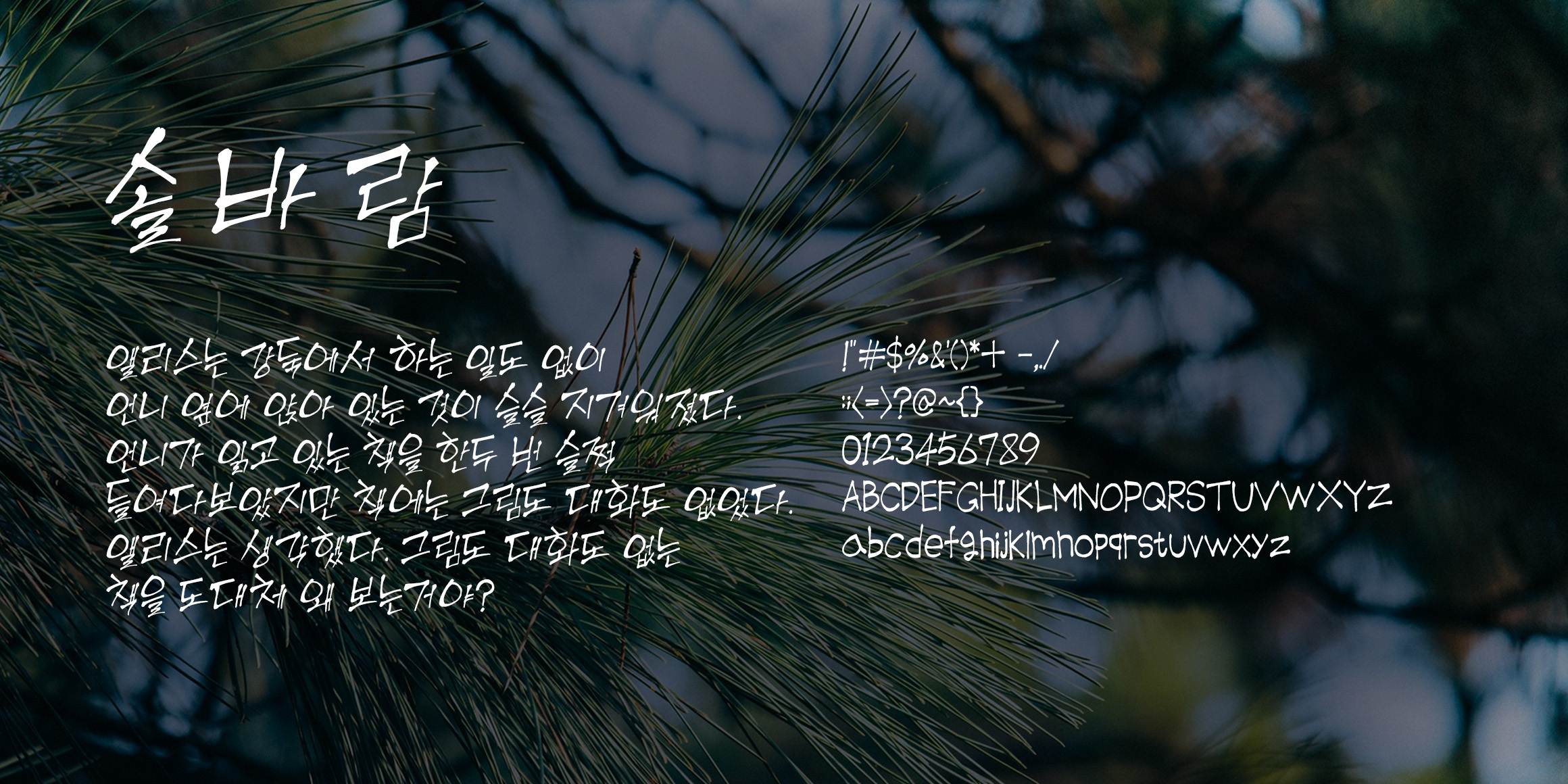 RK-솔바람체 font in use