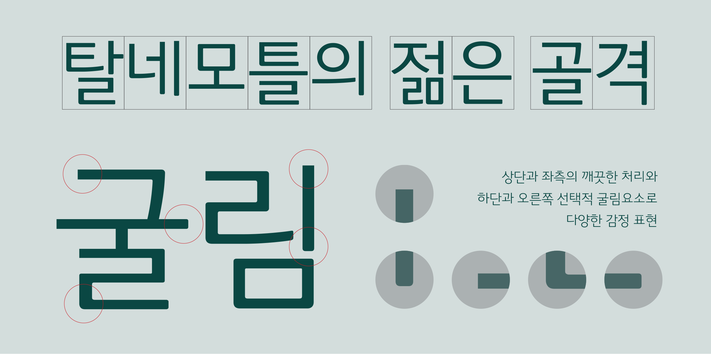 Rak다정고딕 font in use