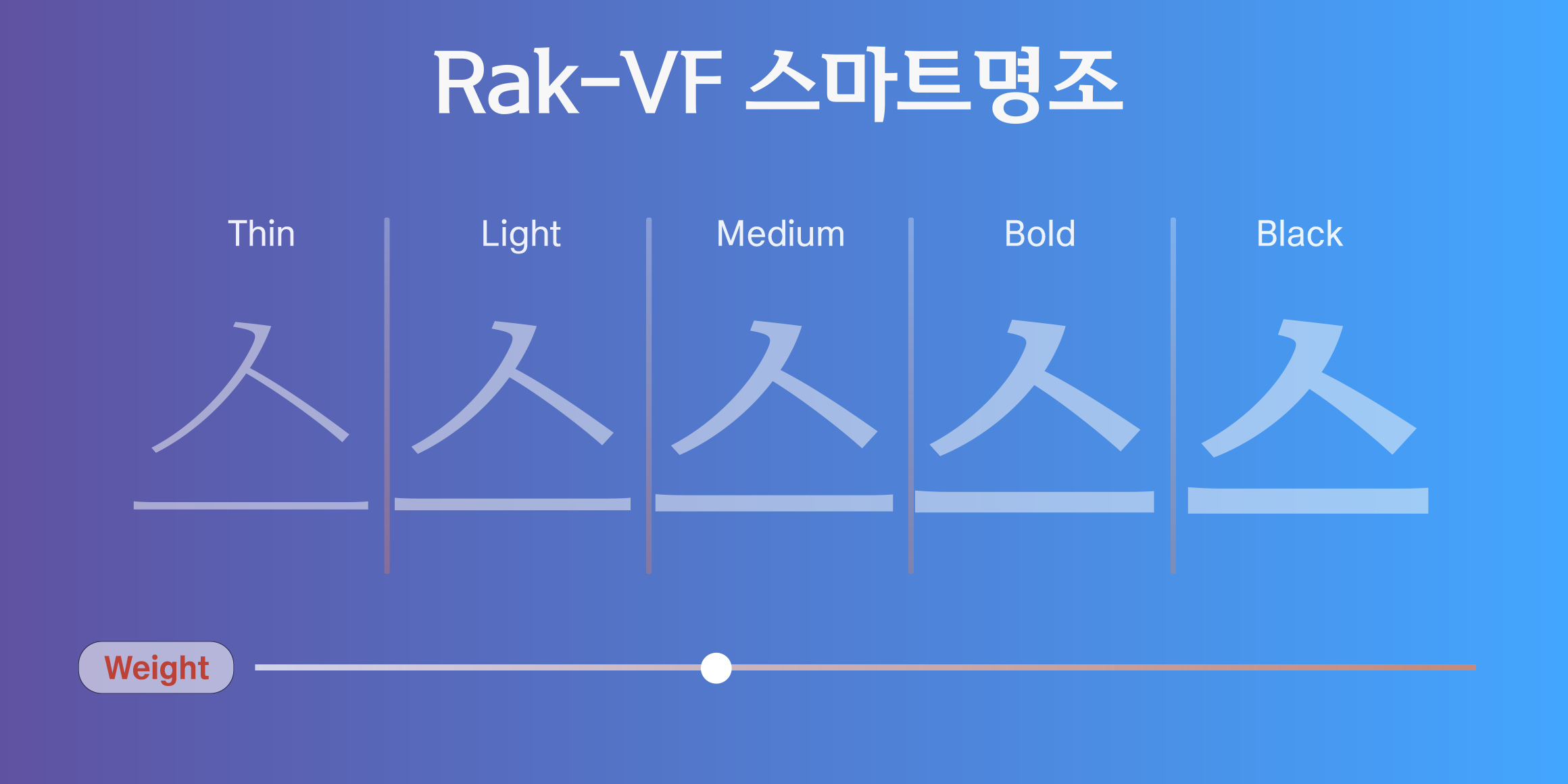 Rak-VF 스마트명조 font in use